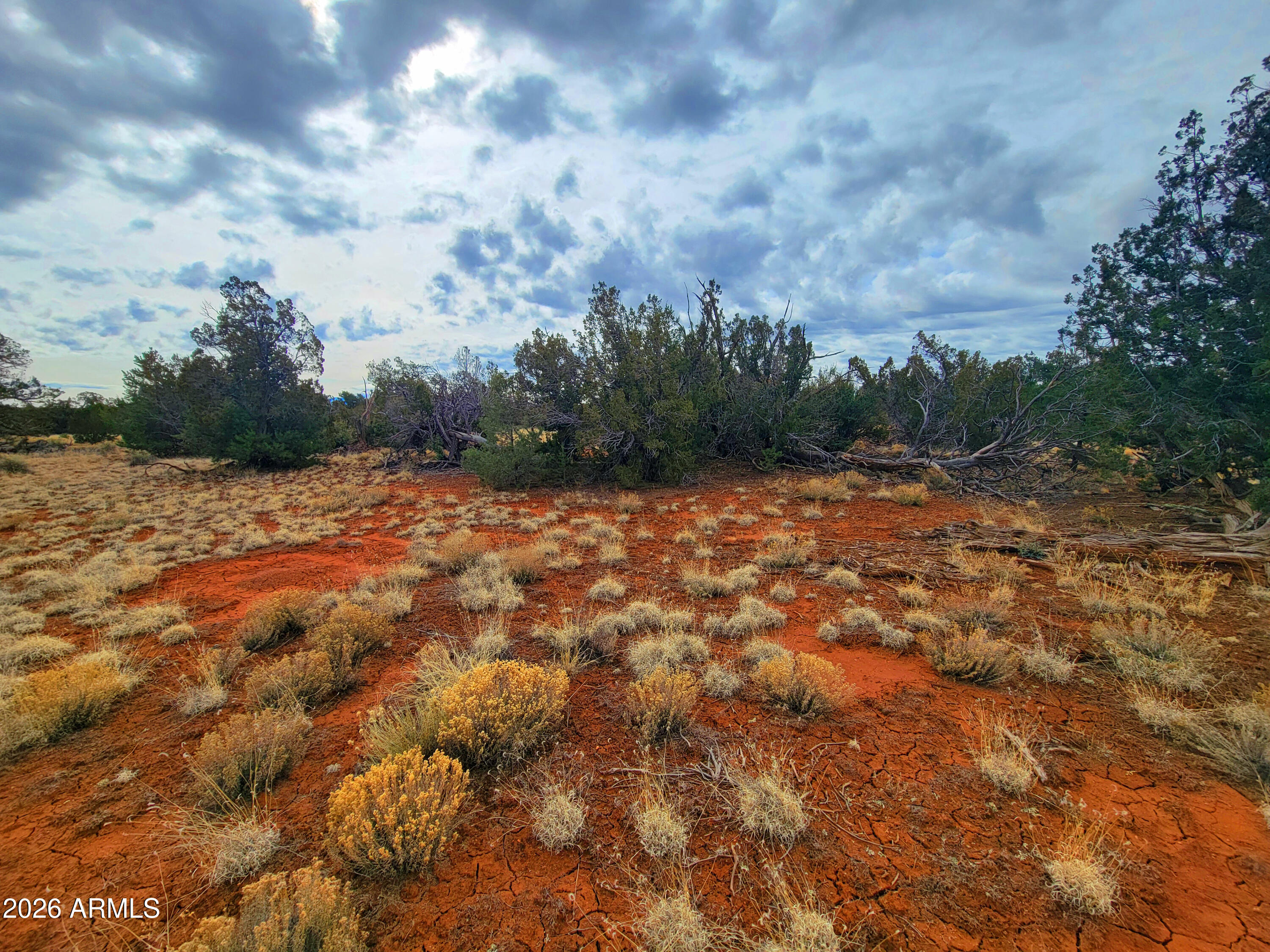 Discover the beauty and tranquility of Northern Arizona with this 1.05-acre parcel in Williams. Offering wide-open space, fresh mountain air, and expansive high-country views, this property is the perfect setting for your dream cabin, seasonal getaway, or future homesite.
Enjoy the peace of rural living while remaining within convenient driving distance of historic downtown Williams, Route 66, and the Grand Canyon. Whether you're seeking a weekend retreat, an off-grid escape, or a long-term investment, this property provides endless possibilities.
Bring your vision and create your own slice of Arizona's scenic high country. With room to spread out and stunning star-filled skies overhead, this is an opportunity to own land in one of the state's most desirable recreational destinations.
