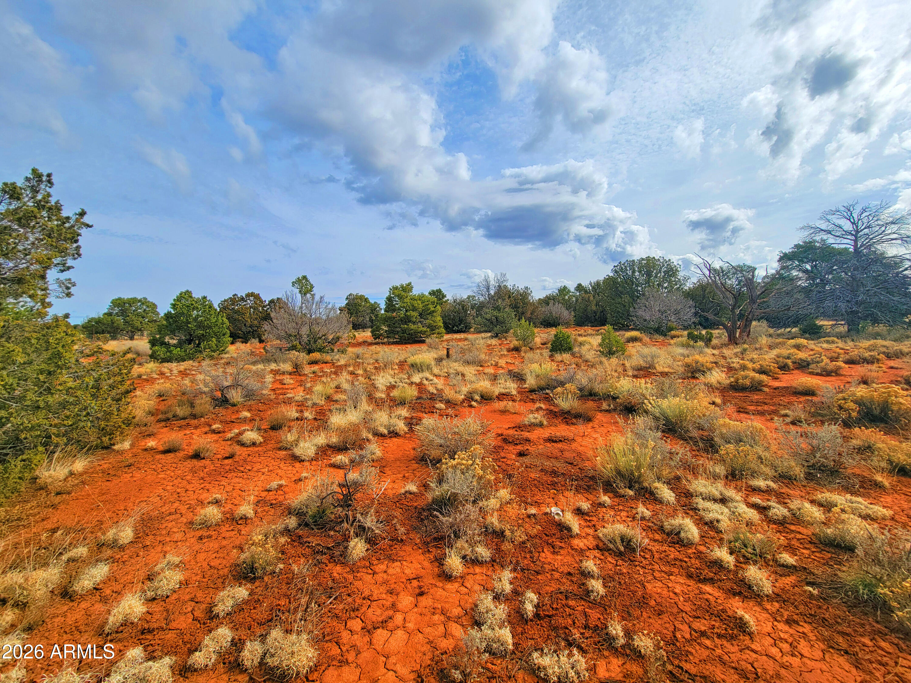 GRAND CANYON 19 - Land