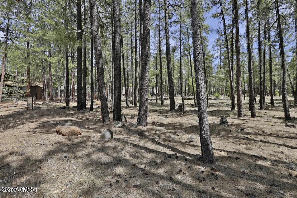 Pinetop Lakes - Land