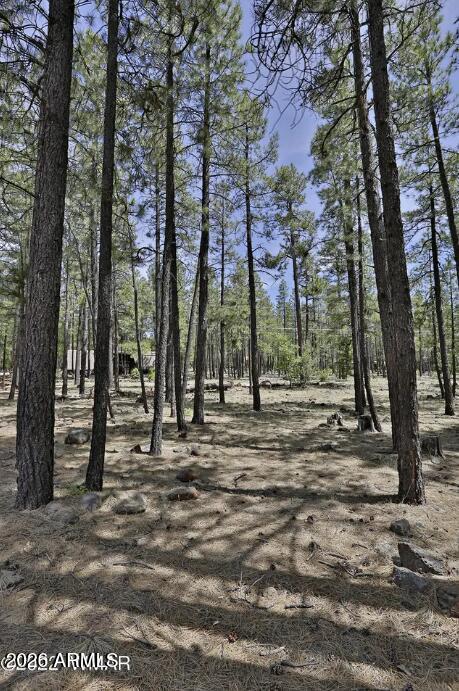 Pinetop Lakes - Land
