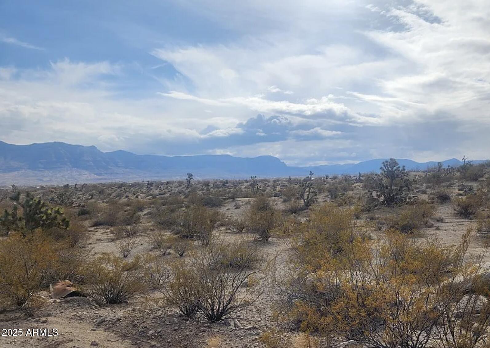 MEADVIEW UNIT 2 - Land
