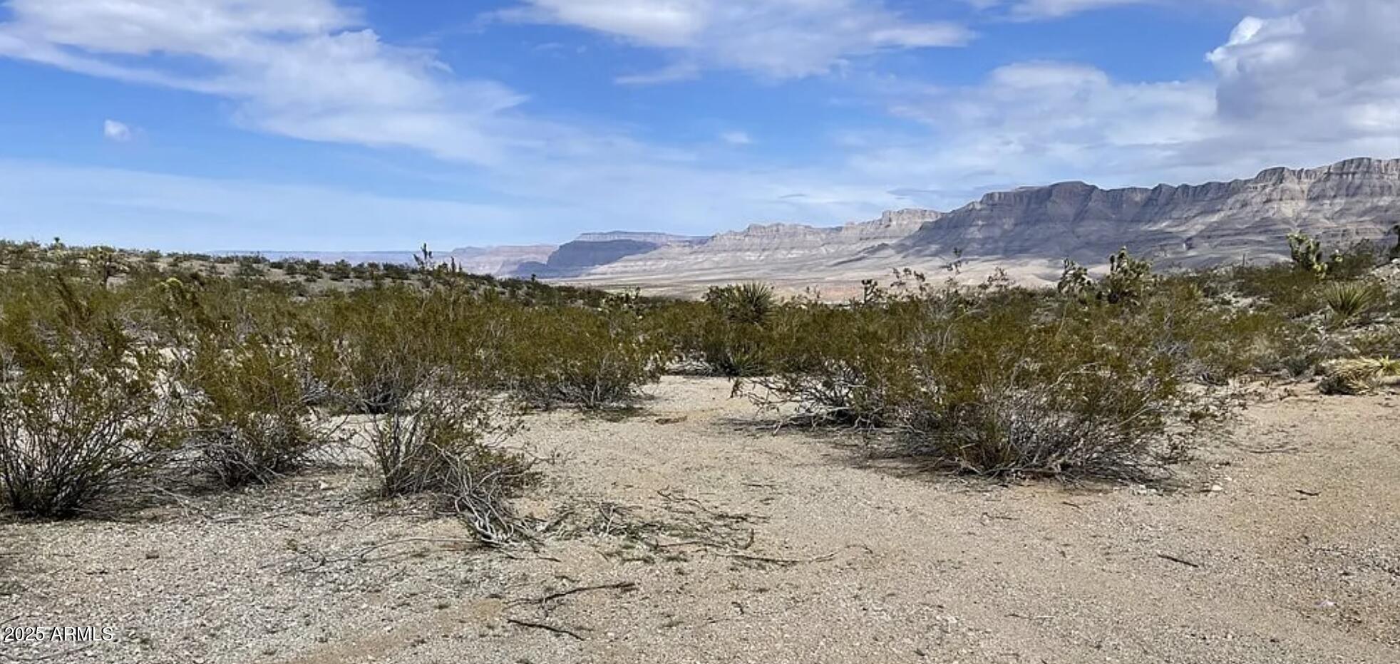 MEADVIEW UNIT 2 - Land