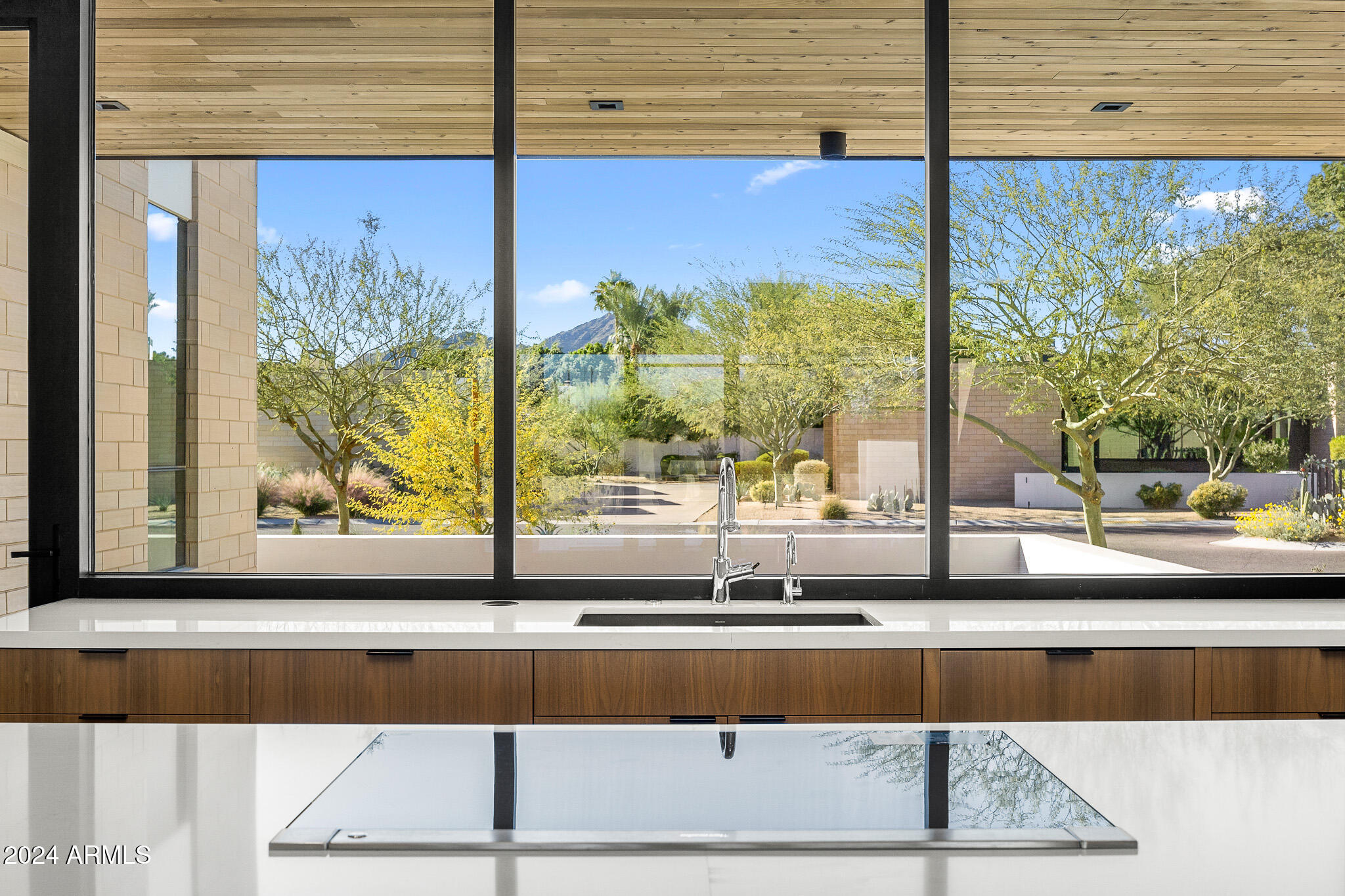PALO VERDE LANE - Residential
