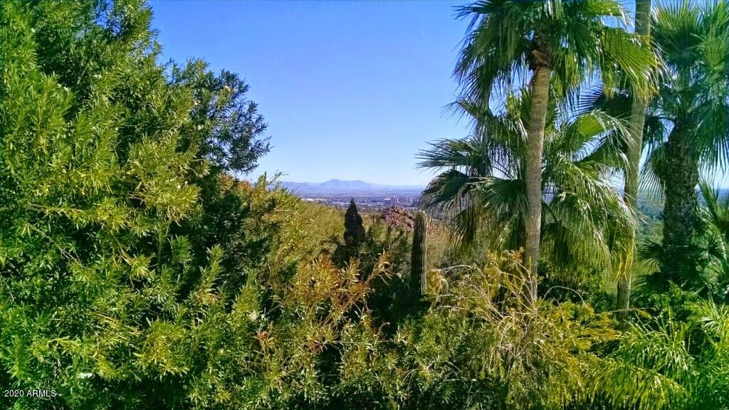 CAMELBACK VISTA ESTATES - Residential