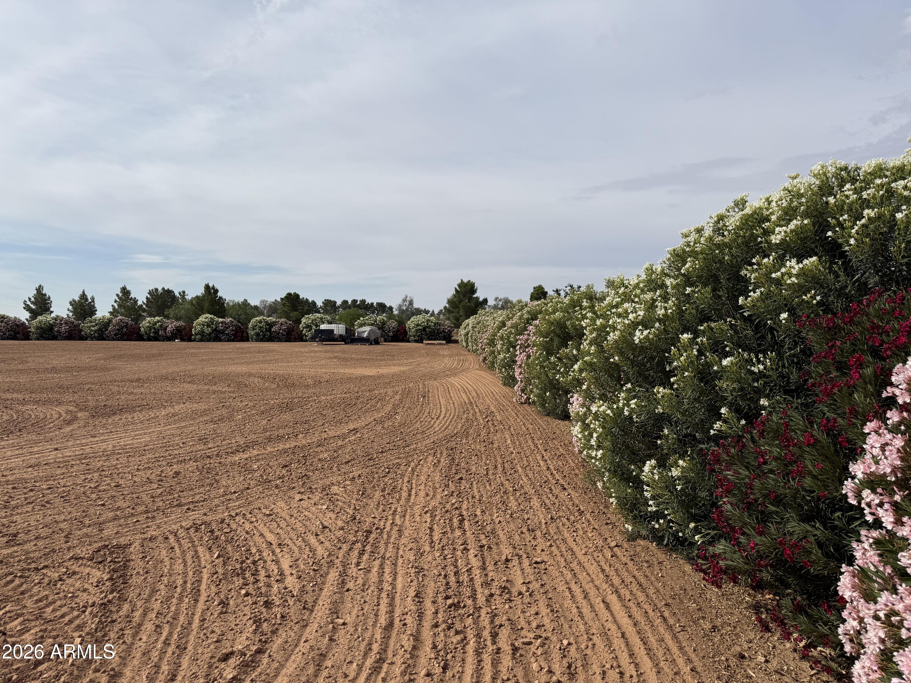Sun Valley Farms #5 - Land