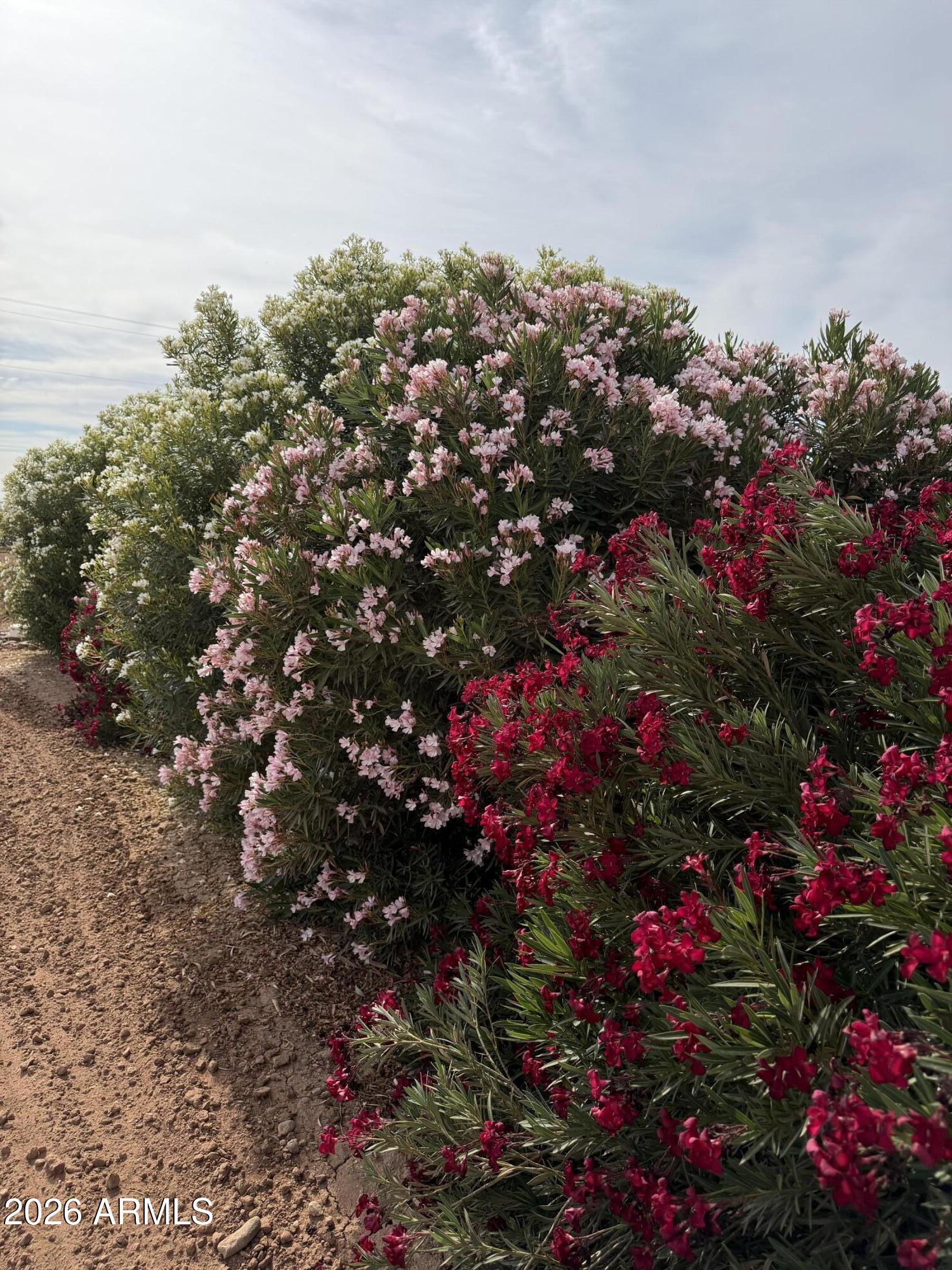 Sun Valley Farms #5 - Land