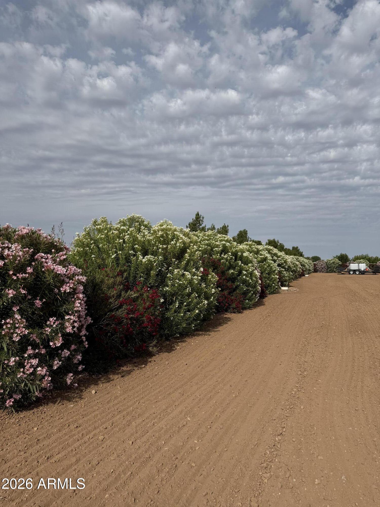 Sun Valley Farms #5 - Land