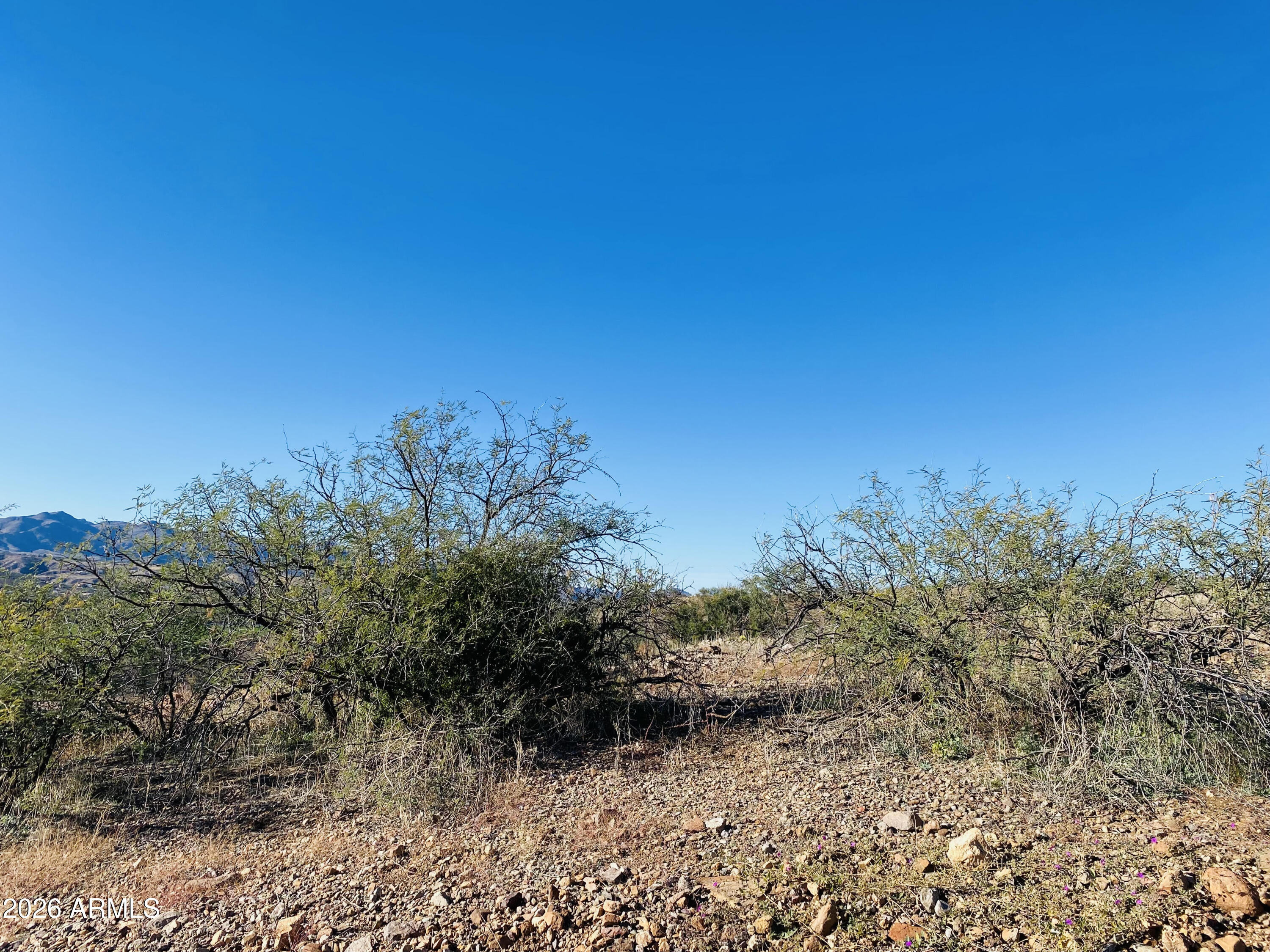 Gorgeous mountain-view parcel in East Rio Rico, just minutes from I-19 (Exits 17 & 25). This higher-elevation homesite offers sweeping panoramas, including a clear, unobstructed view of Mt. San Cayetano. Ideally situated near schools, shopping, and daily conveniences, it provides both tranquility and accessibility. A beautiful setting--ready for your vision and your new home. Alternative septic system needed on this parcel.