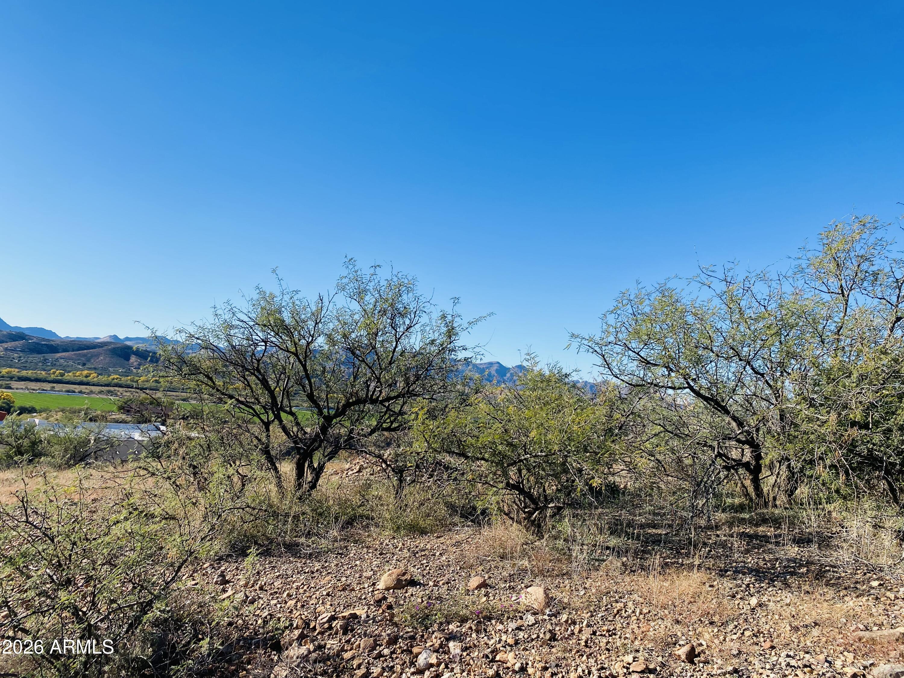 Rio Rico Ranchettes 4 - Land