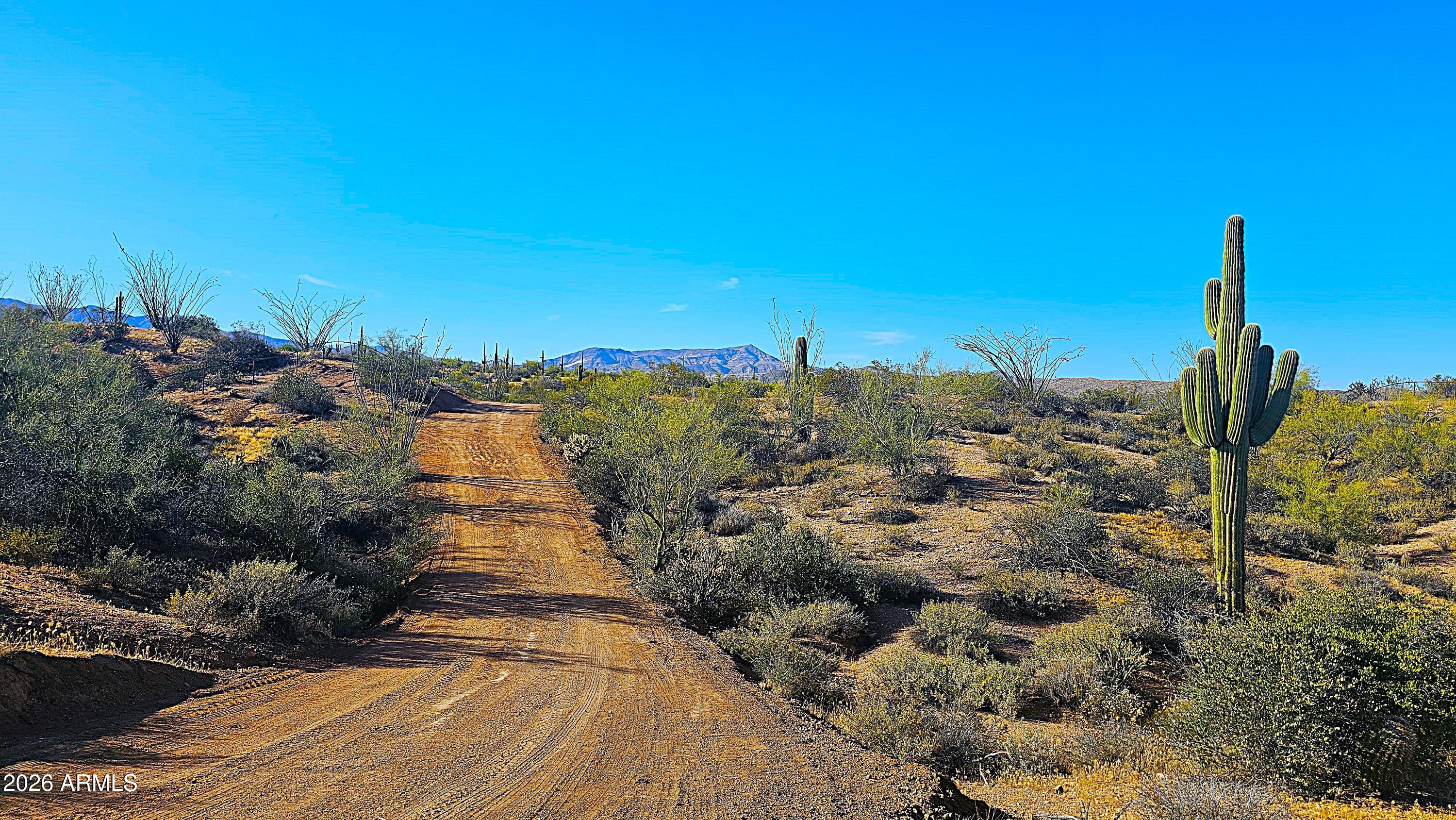 Rio Verde Foothills - Backs to Tonto National Forest - Land