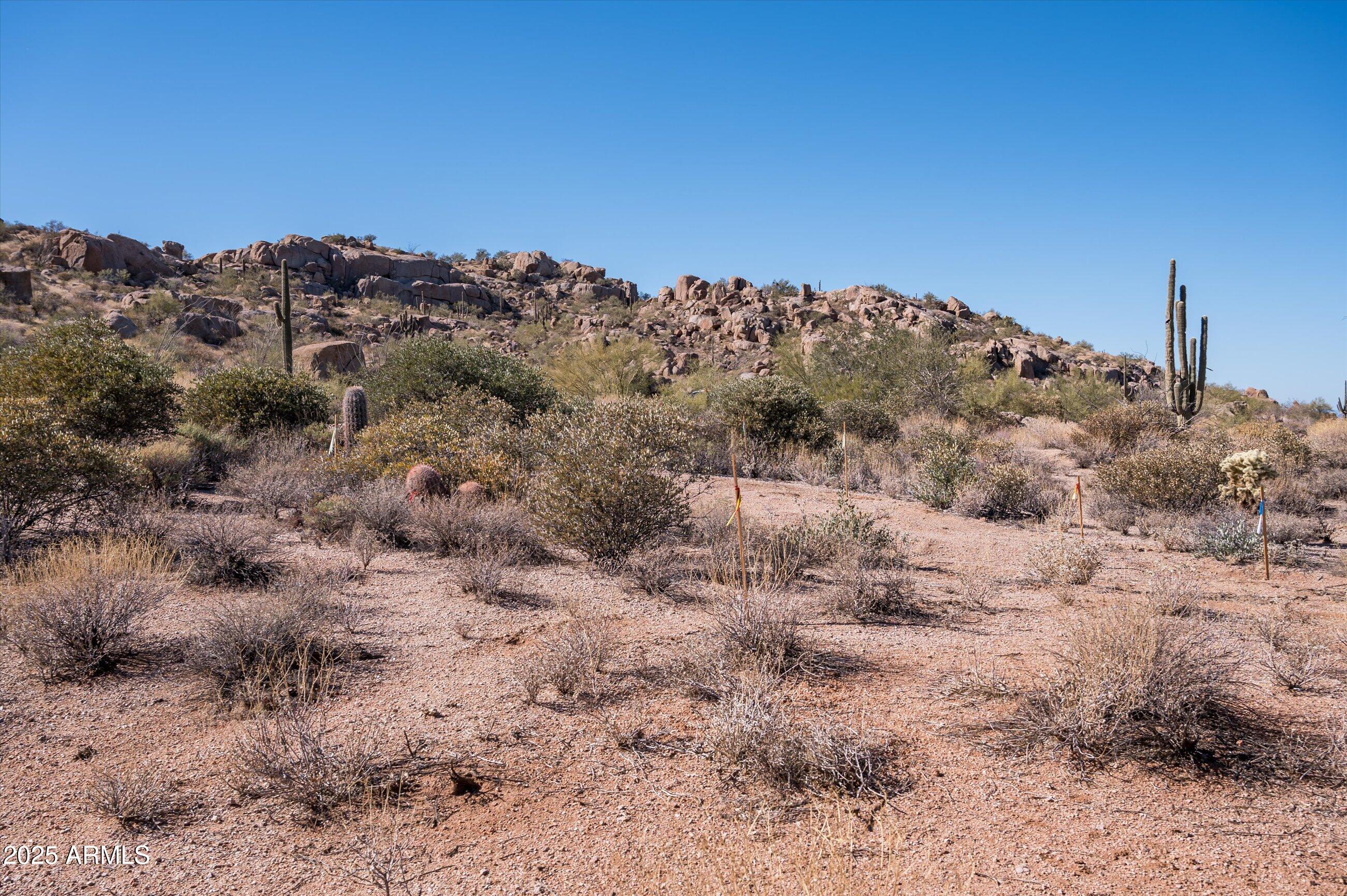 ESTANCIA - Land