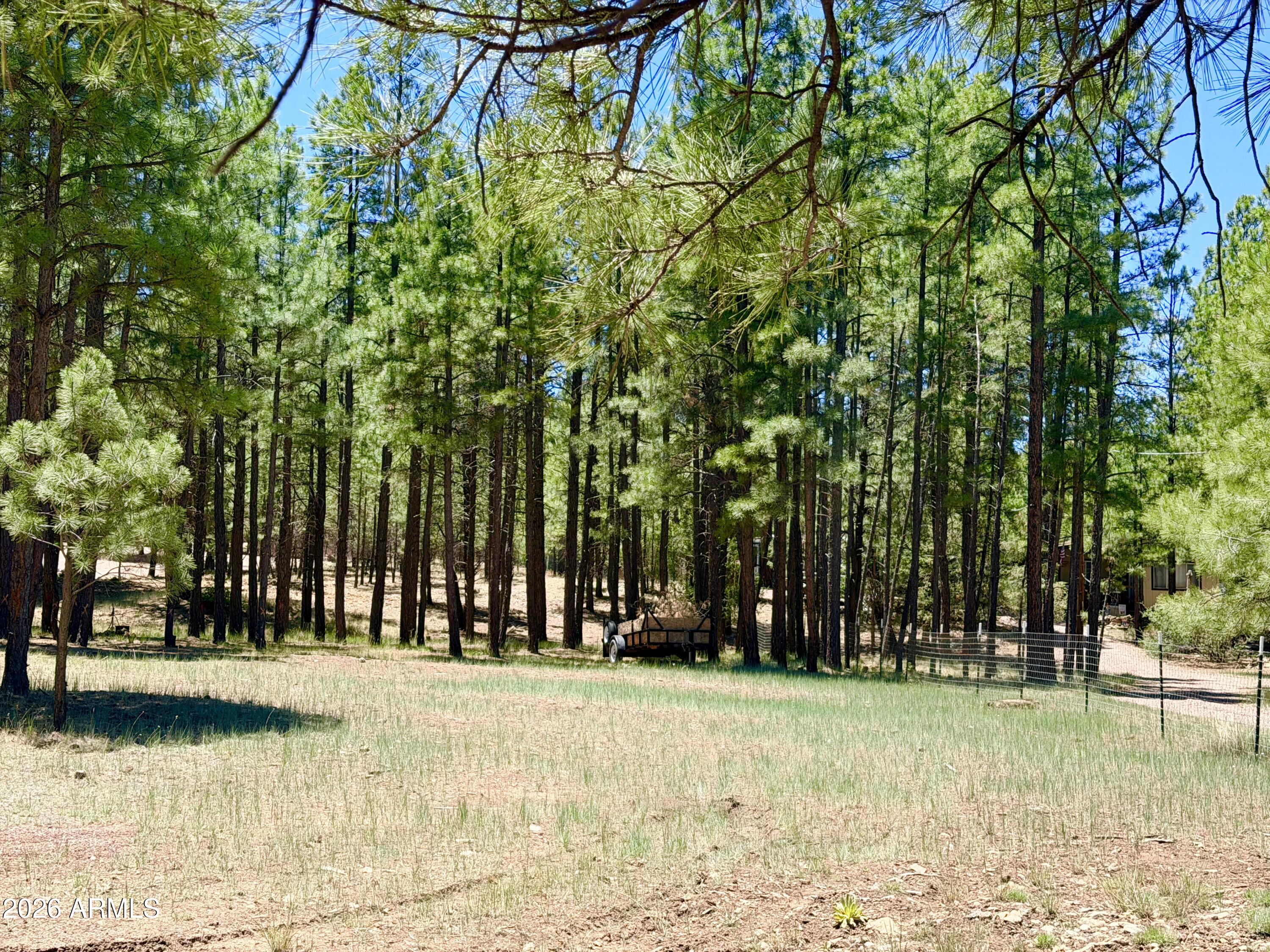 CLEAR CREEK PINES 5 - Land