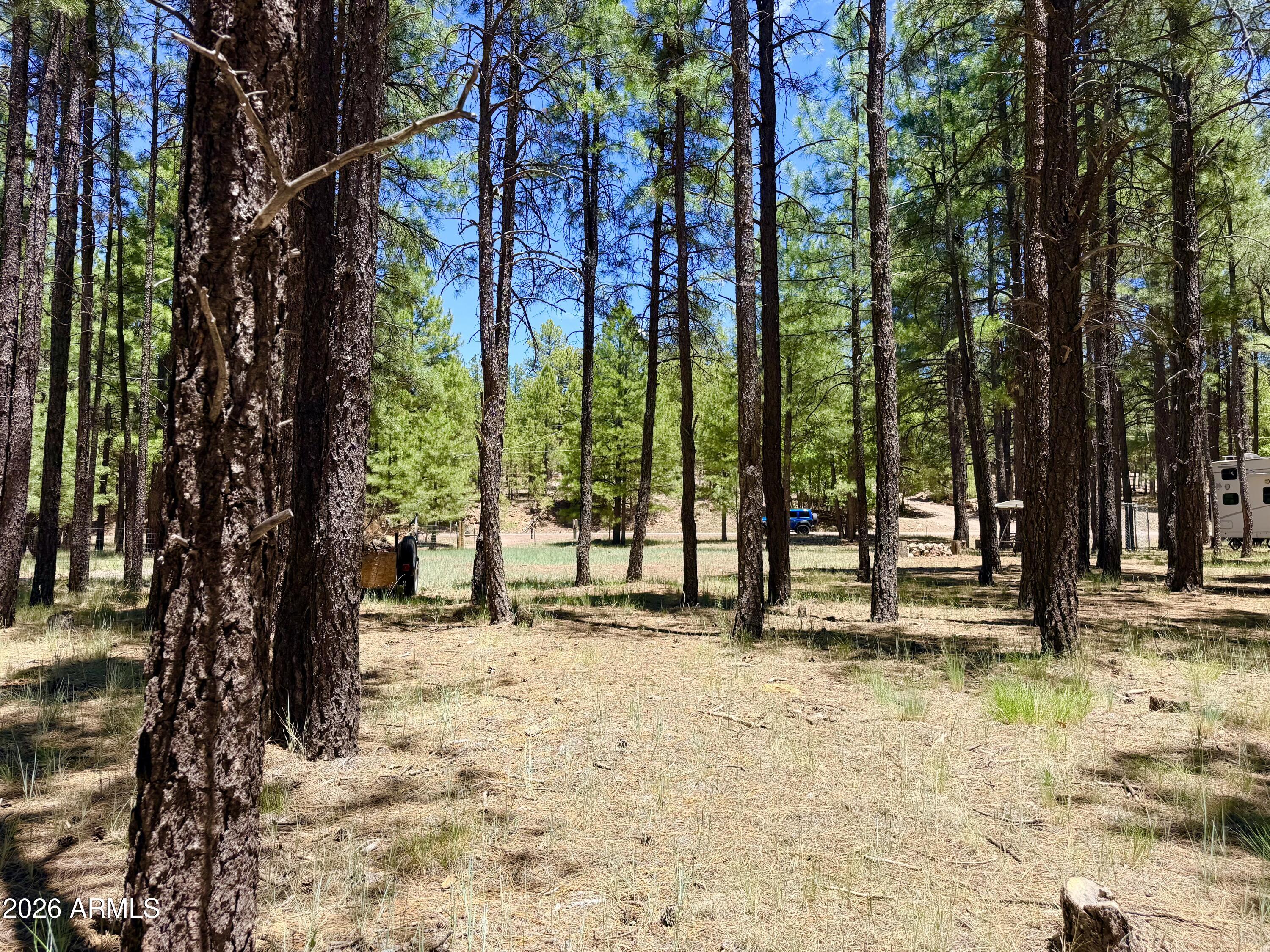CLEAR CREEK PINES 5 - Land