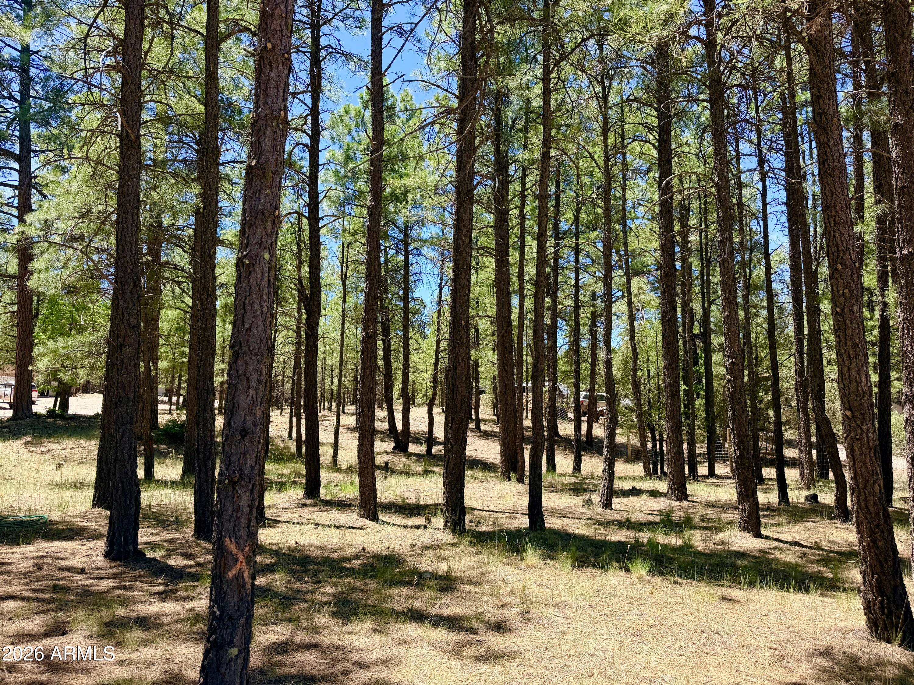 CLEAR CREEK PINES 5 - Land