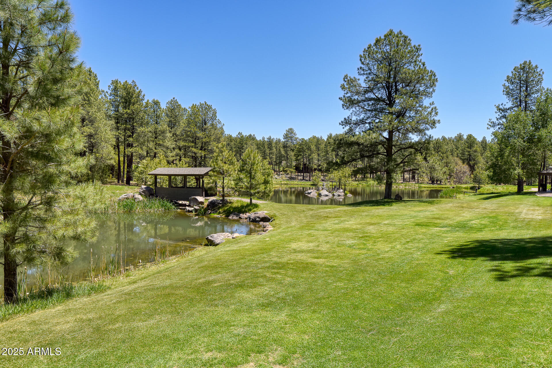 FOREST HIGHLANDS - Residential