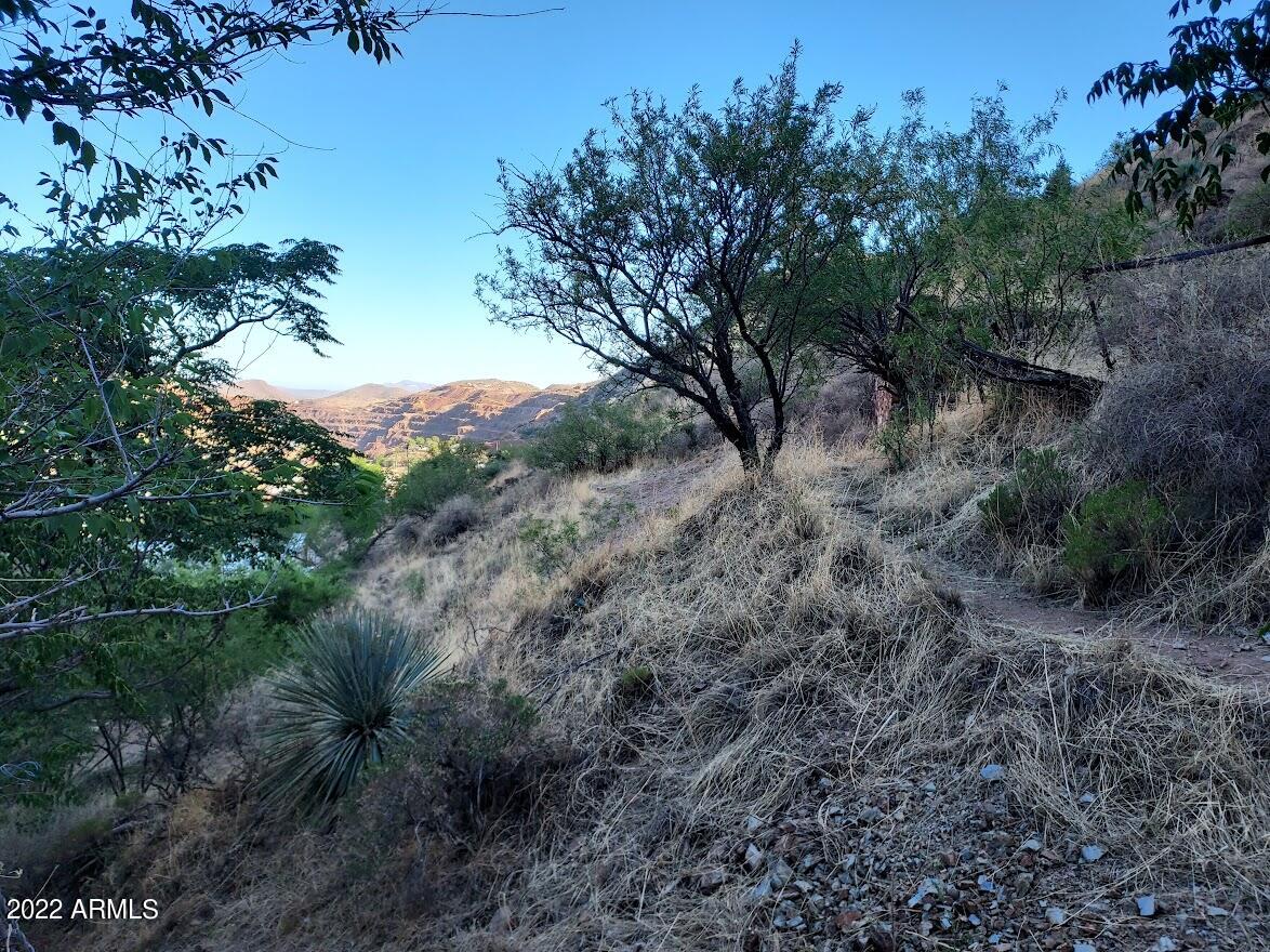 BISBEE - Land