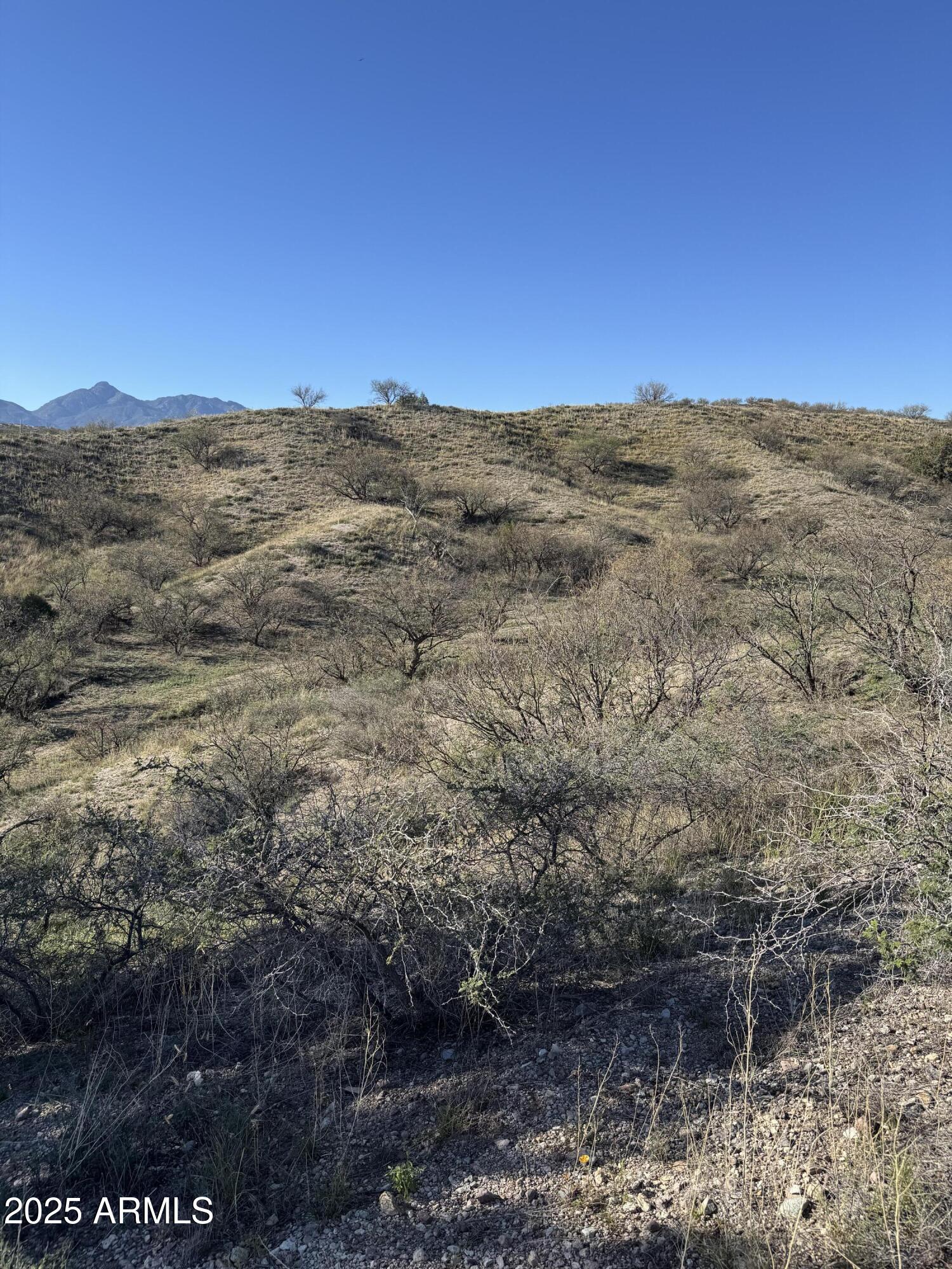 ADOBE CANYON - Land