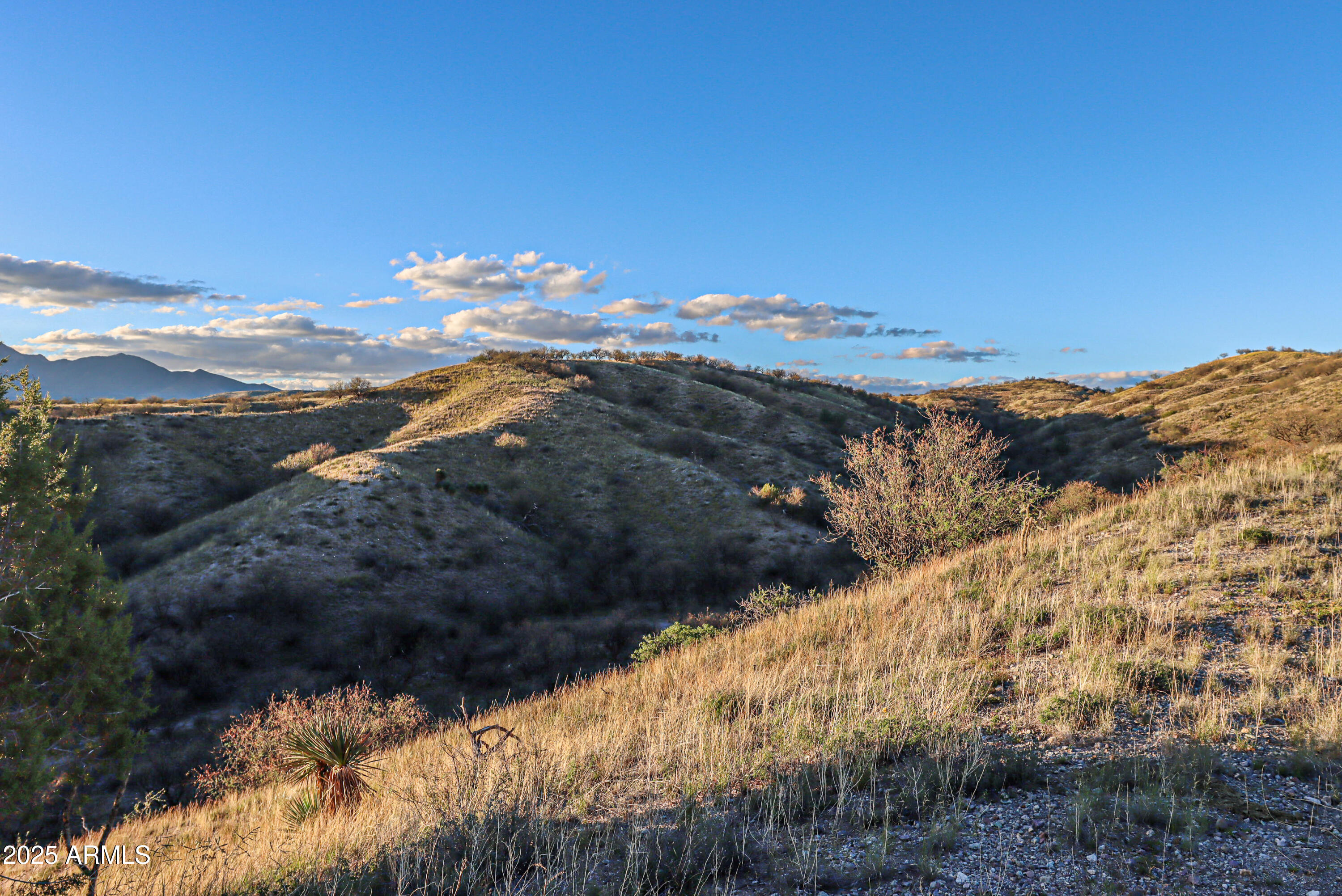 ADOBE CANYON - Land