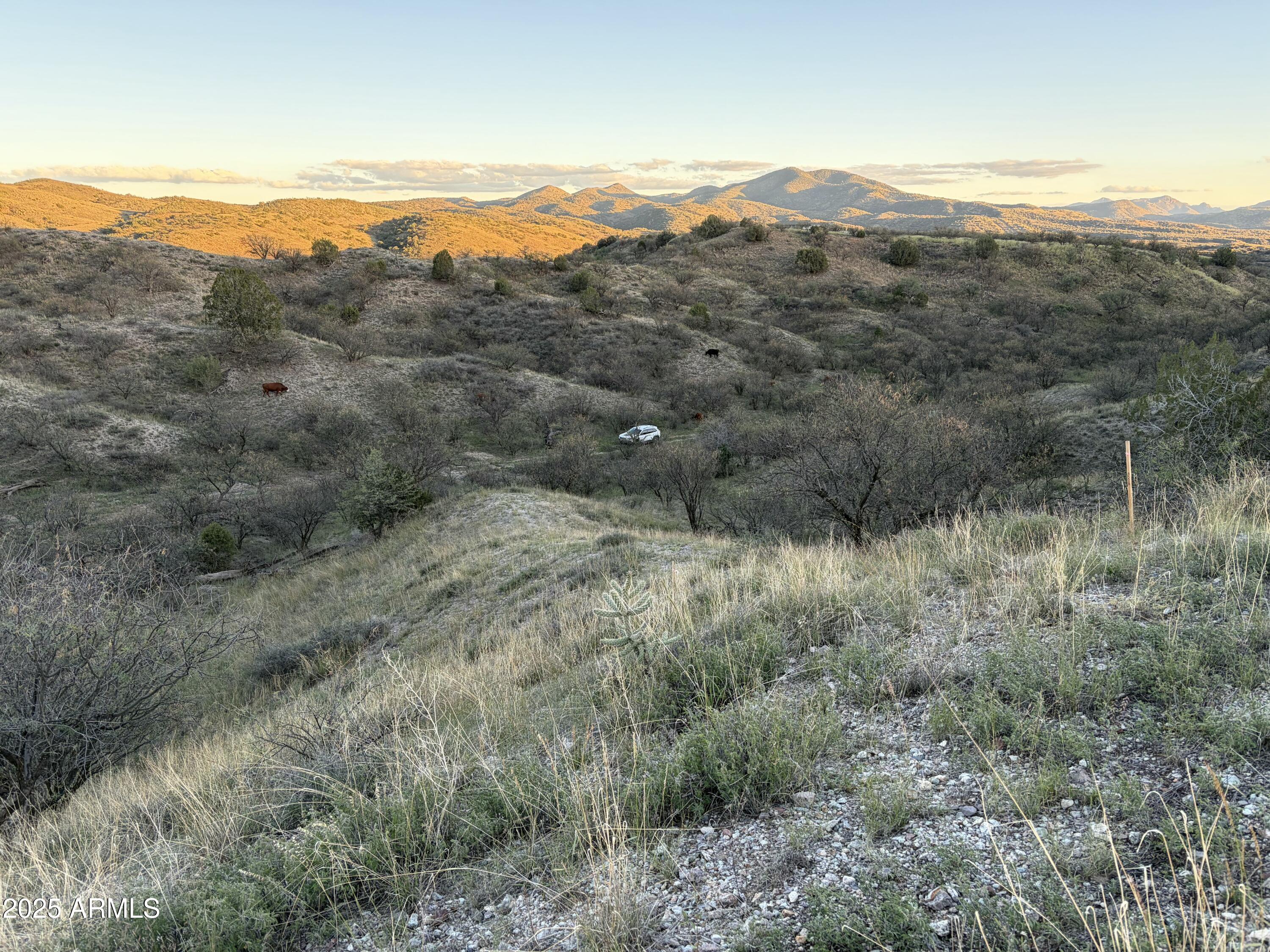 ADOBE CANYON - Land