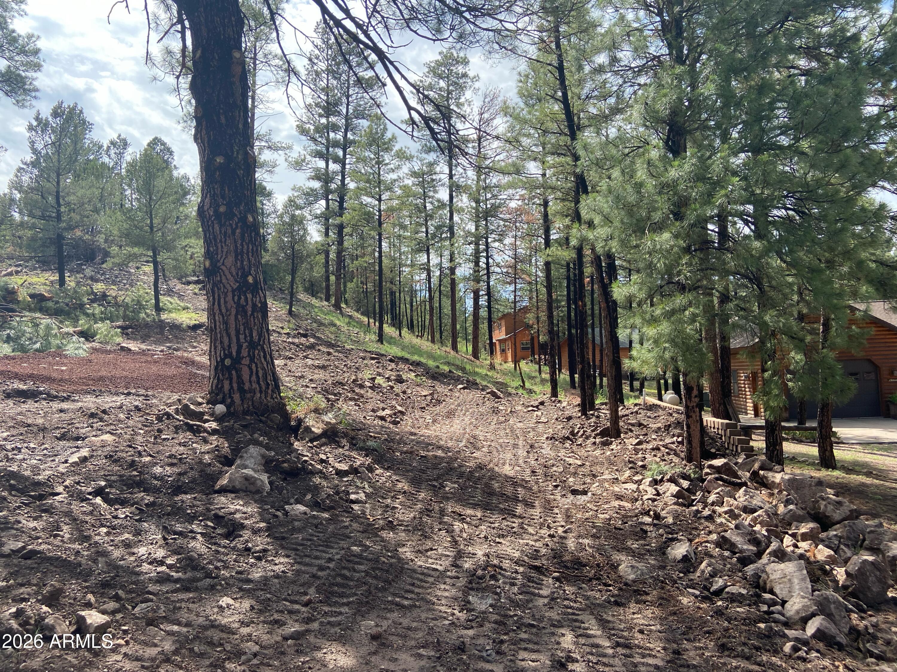 PINE MEADOWS UNIT 3 - Land