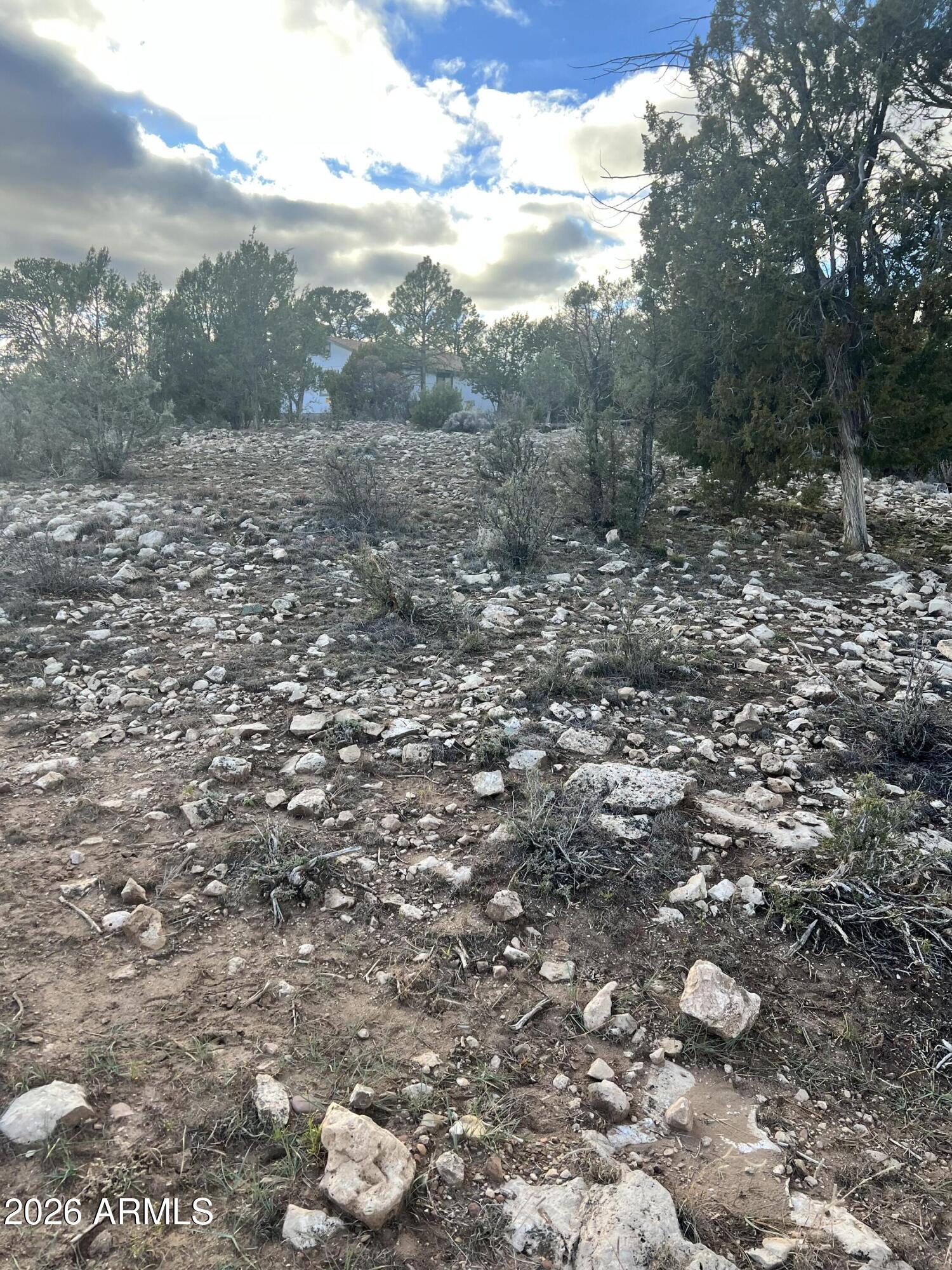 PINE MEADOWS UNIT 3 - Land