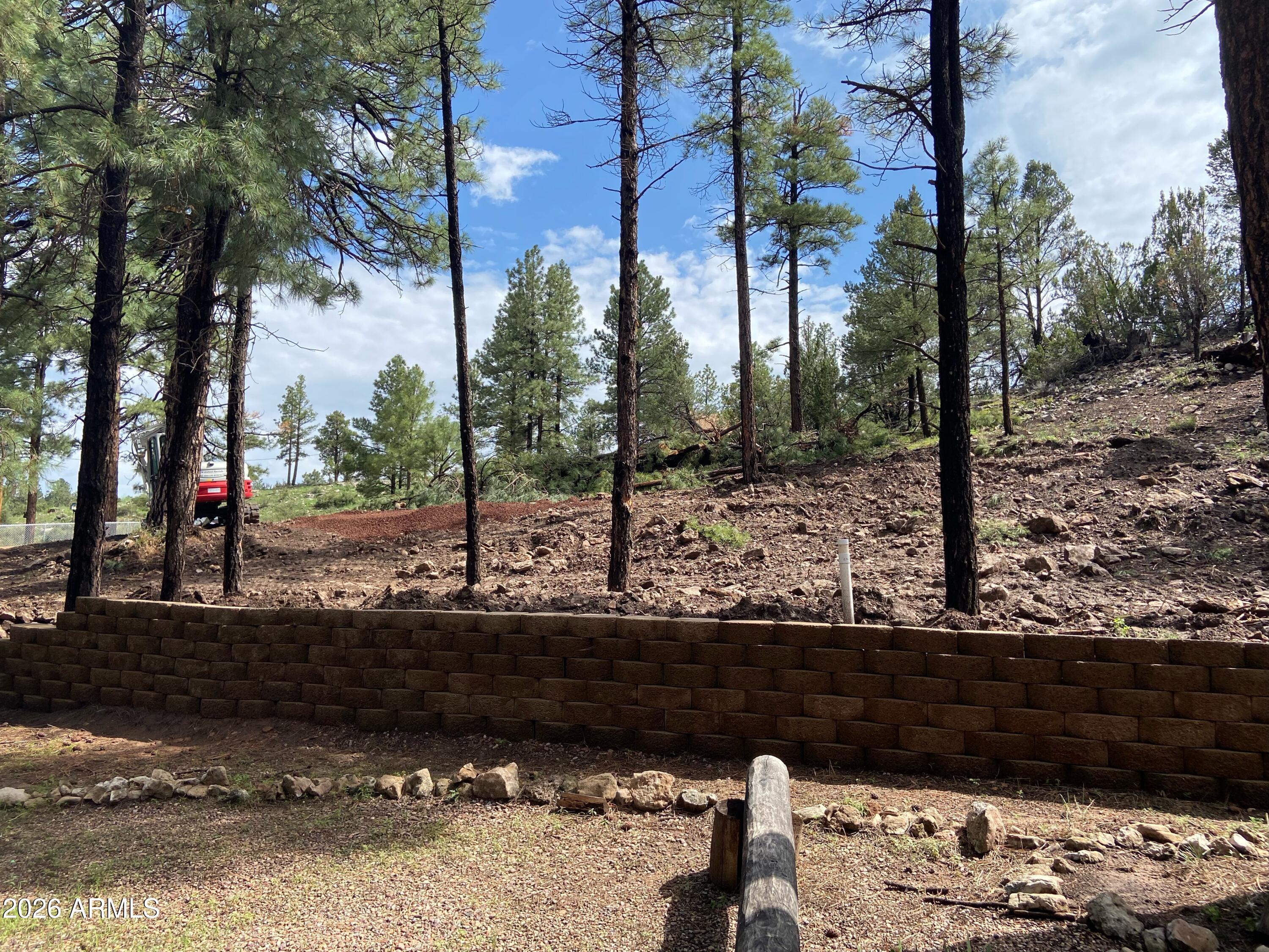 Beautiful wooded lot nestled among mature pines in the desirable Pine Hill area of Overgaard. This spacious parcel offers a serene mountain setting with level to gently sloping terrain, ideal for building a custom cabin, full-time residence, or weekend retreat. Enjoy cool summer temperatures, star-filled night skies, and the peaceful atmosphere of Arizona's high country.