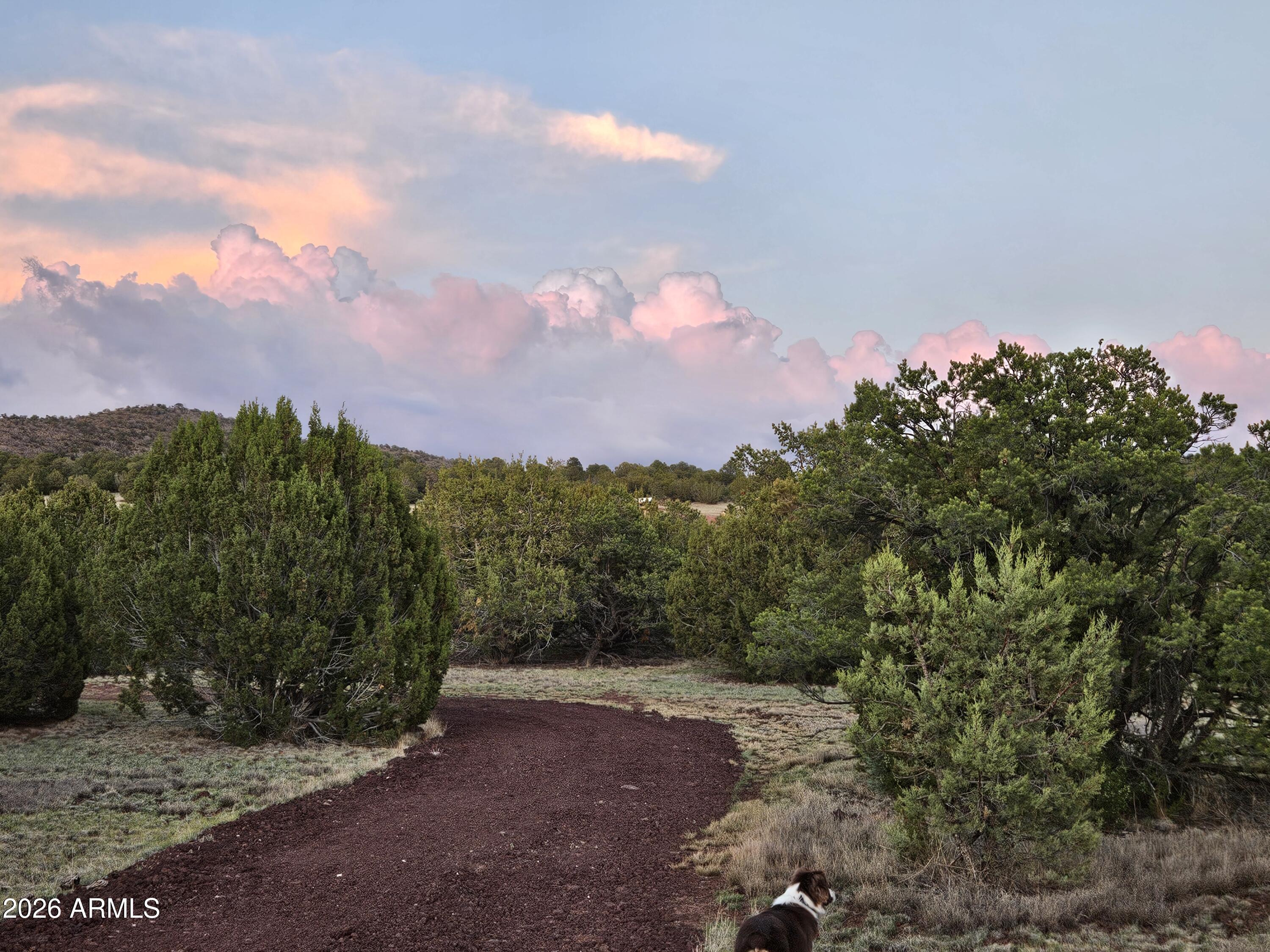 Unique opportunity to build your dream home on this pristine 10 acres in a secluded little valley with some of the best view in Northern Arizona of Kendrick Mtn., Bill Williams Mtn. Ranch style living but only minutes to beautiful Williams, AZ, 50 minutes to the Grand Canyon and 45 minutes to Flagstaff. APS power at the property's edge w/3 access points. This is an opportunity you do not want to pass up! Lots are over priced in Flagstaff, high in Parks, so buy now while the value is still here. Other lots available.