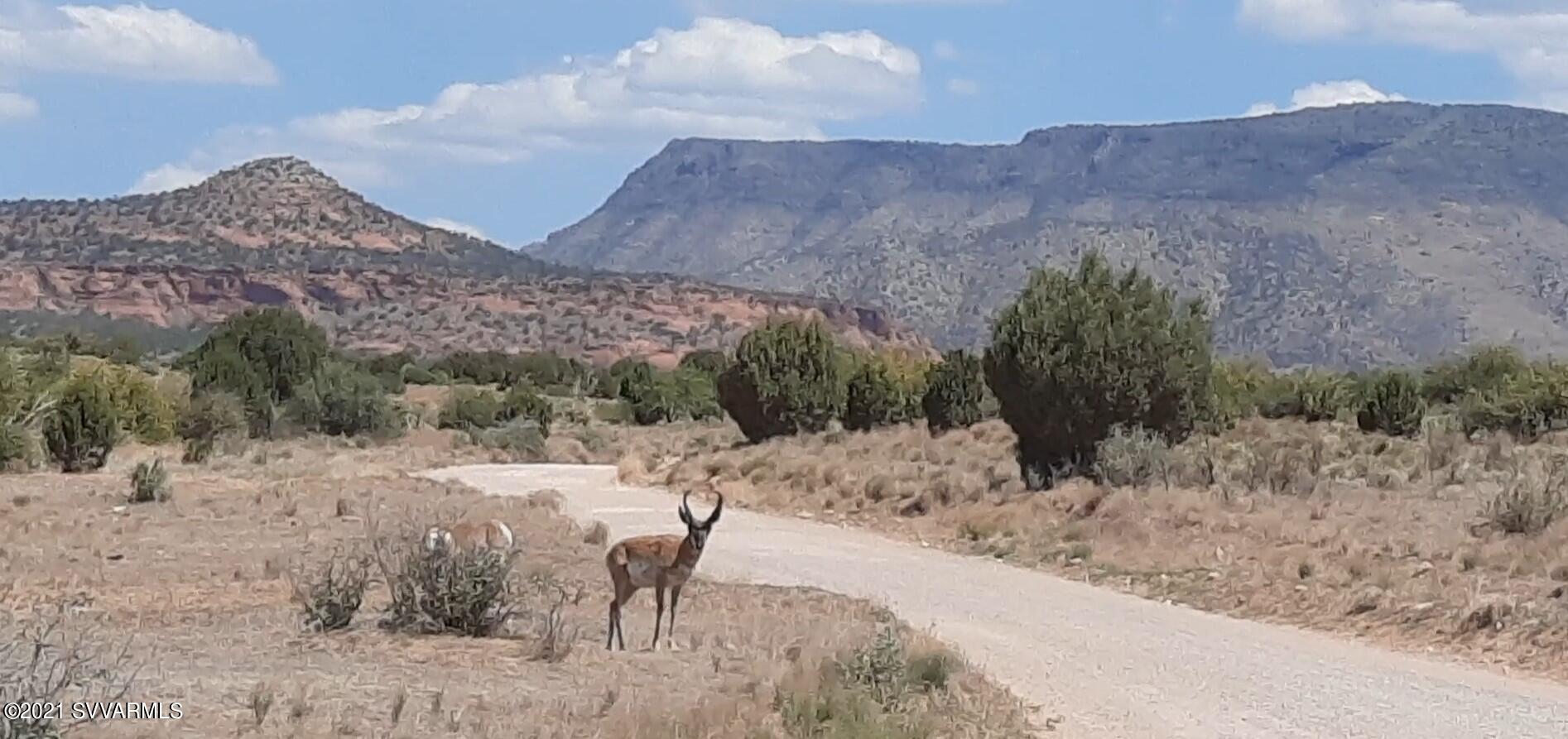 5 Acres or More - Land
