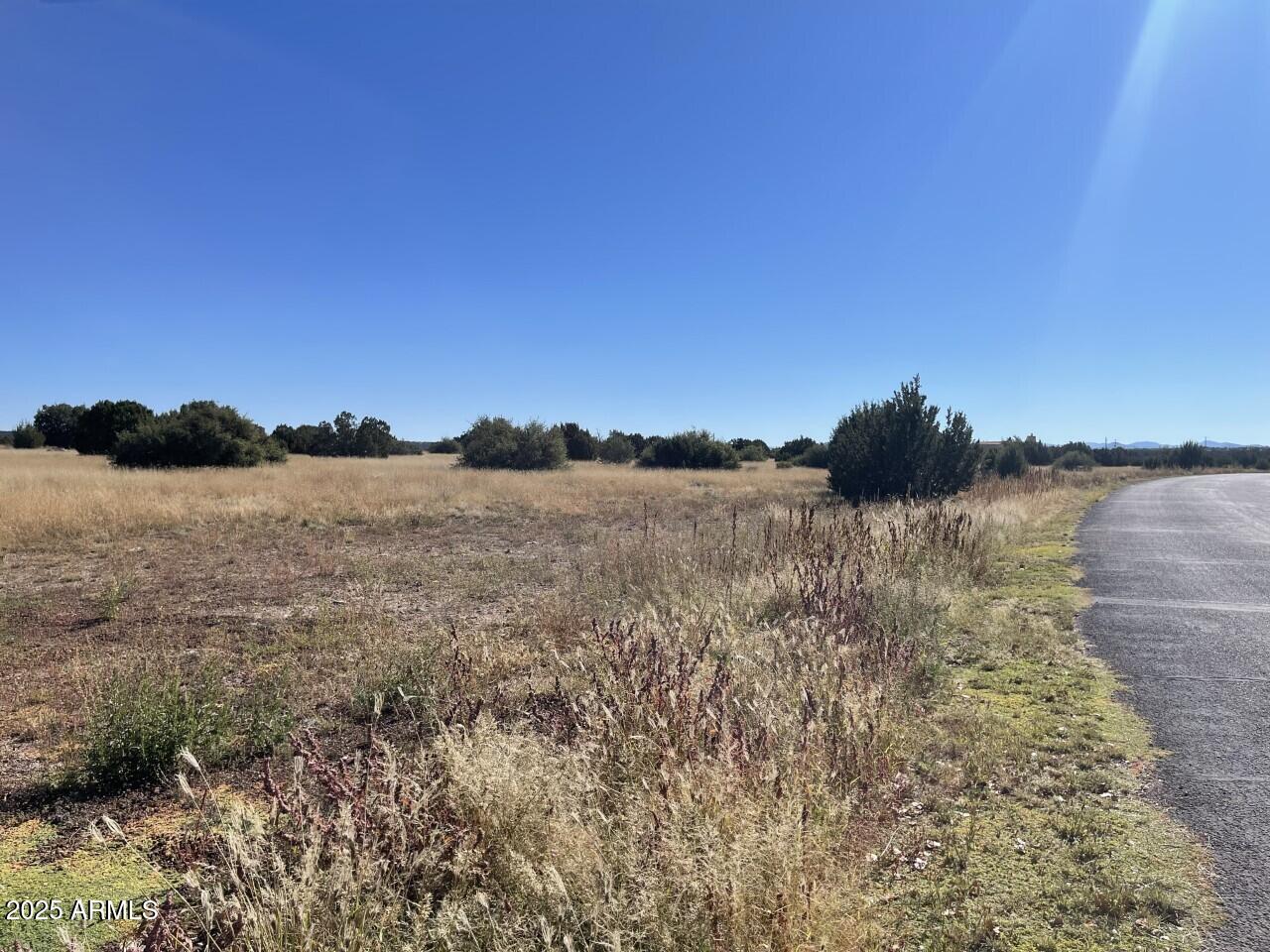 WHITE MOUNTAIN LAKES UNIT 1 - Land