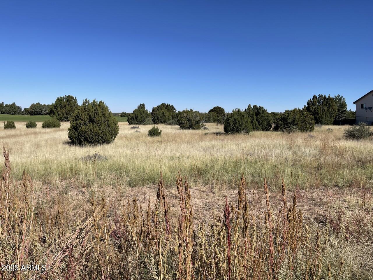 Big corner lot (.43 acres) on a fully paved and maintained street in Eagle Crest subdivision. Hoa includes full White Mountain Lake privileges with fishing and boating. Walk to Silver Creek golf course to play year-round golf. Utilities are available at lot line. 15 minutes from downtown Show low AZ 
Seller is a licensed Real Estate agent in AZ
