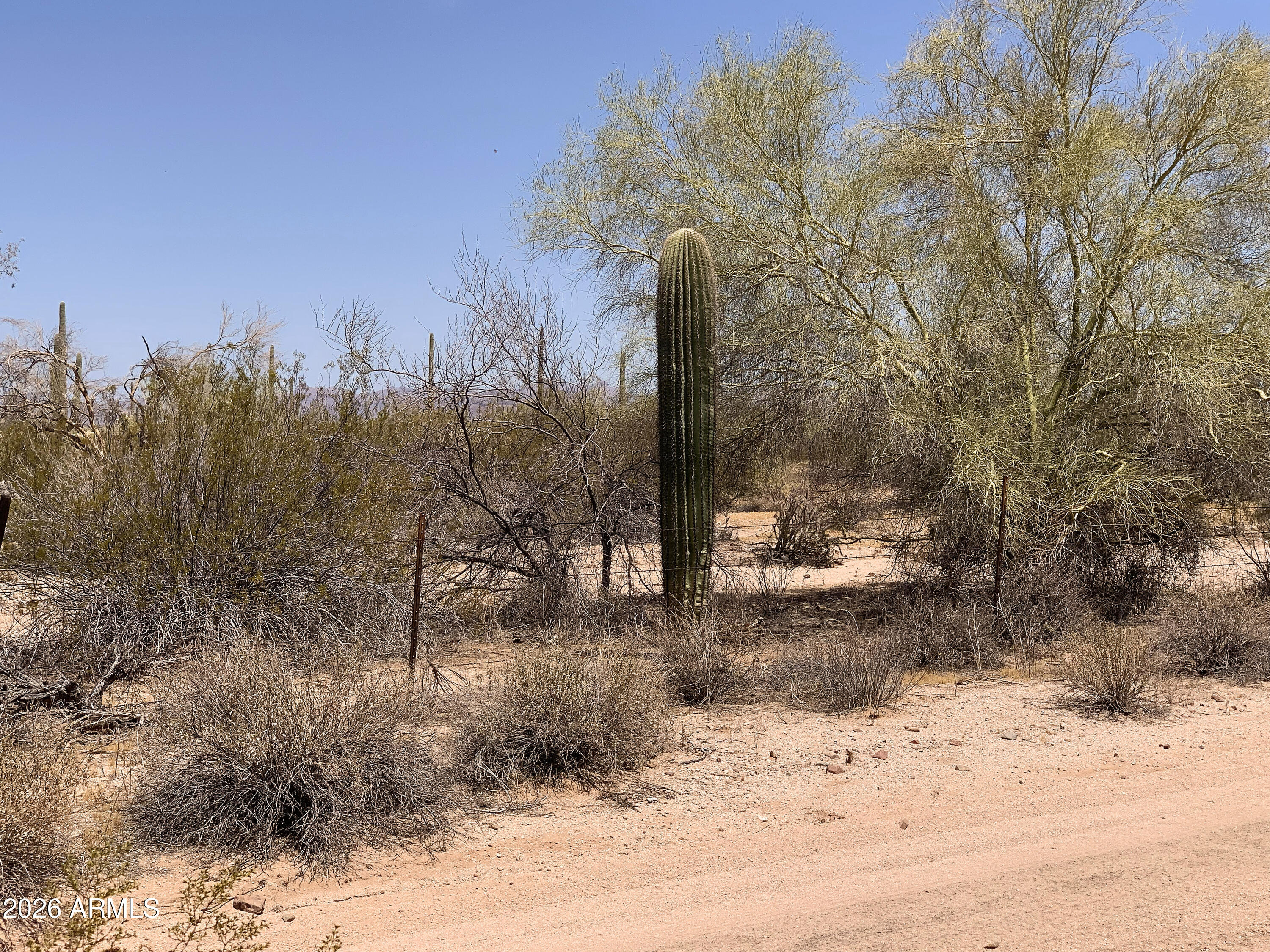 Head for the Country! Discover peaceful country living on this beautiful 1.26-acre parcel in Florence's countryside. Enjoy sweeping desert views with the iconic Superstition Mountains on the horizon, framed by native vegetation, Saguaro Cacti, and Palo Verde trees. BLM land borders to the north, preserving your open vistas and serenity. Located just 20 minutes east of historic downtown Florence, it offers the ideal balance of seclusion and convenience. Electric is nearby, road access is in place, and the lot is ready to build. Seller may carry -- making it a perfect fit! Ready for wide-open skies and desert tranquility? Grab your piece of Florence Countryside Today!