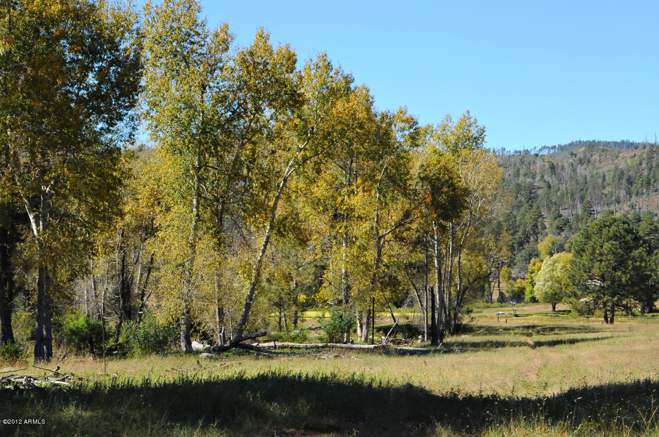 OW Ranch - Residential