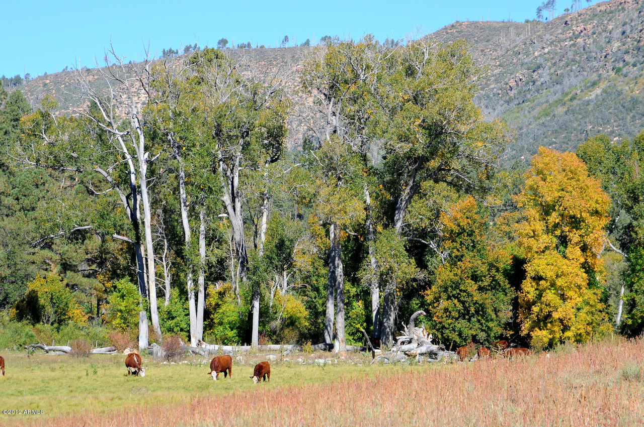 OW Ranch - Residential