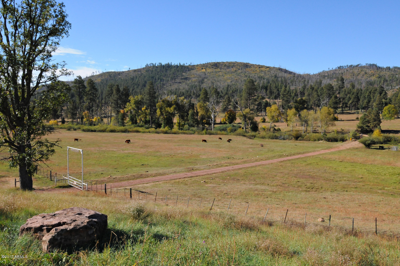 OW Ranch - Residential