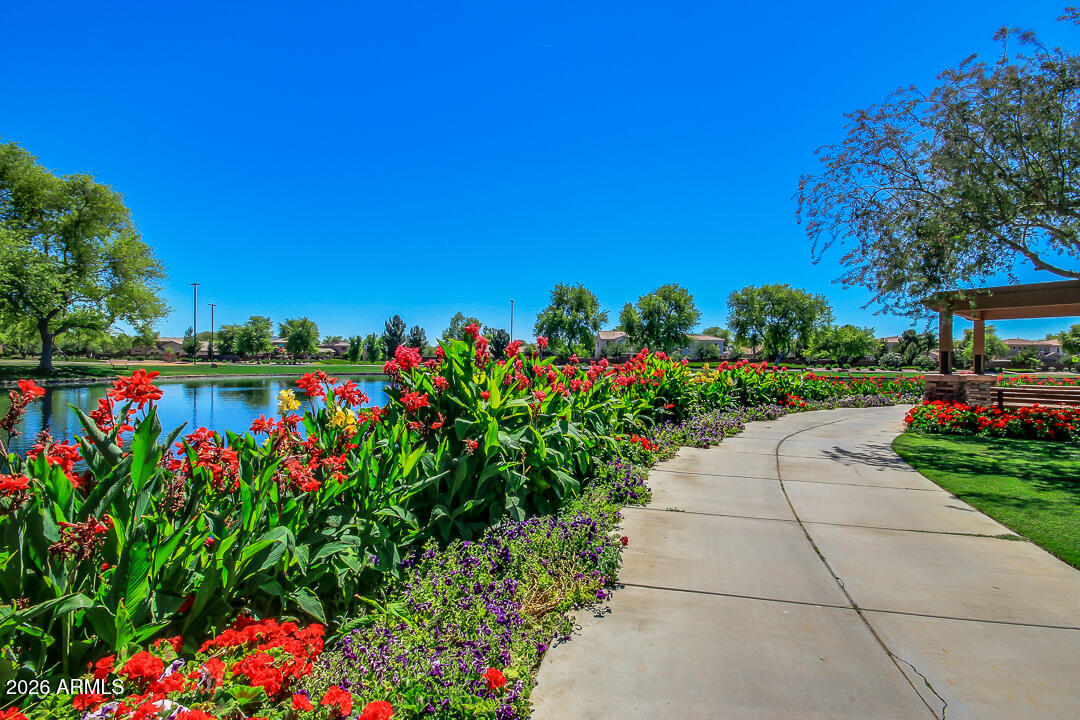 POWER RANCH - Residential
