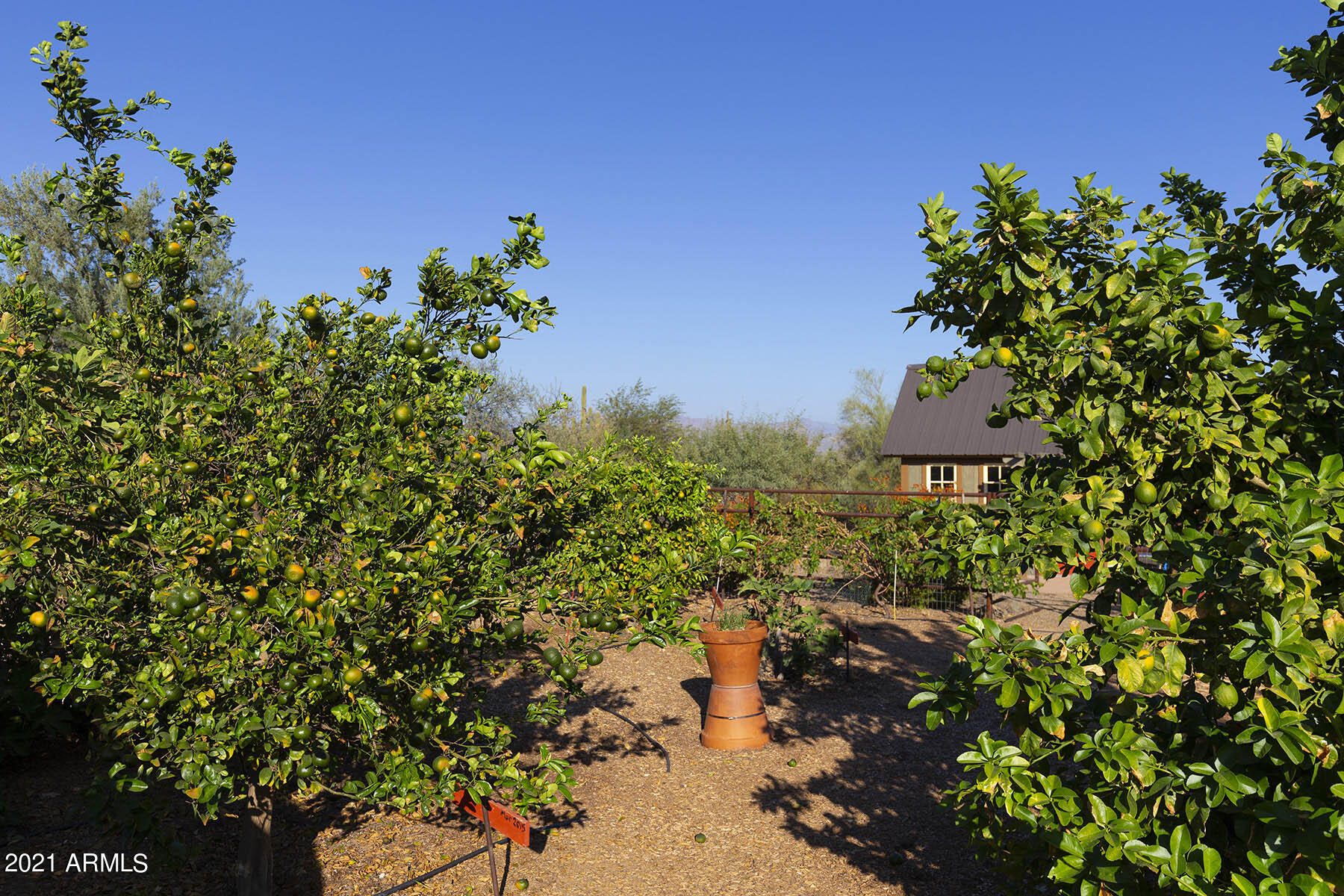 23 Acre Horse Ranch - Residential