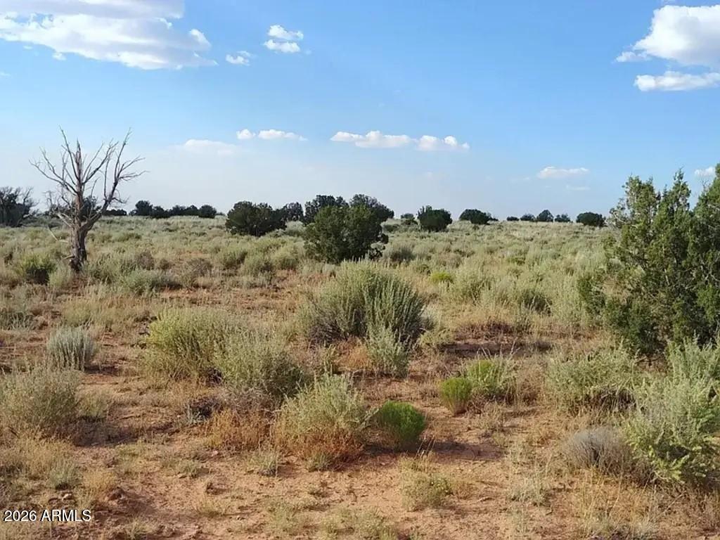 Escape to Arizona's high country with this beautiful rural homesite offering privacy, panoramic views, and endless possibilities. Situated in White Mountain Lake Ranches, this raw land parcel provides the perfect setting for a custom home, seasonal retreat, RV getaway, or long-term land investment. Bring your horses, outdoor toys, and building plans as you create your own slice of Arizona paradise. Conveniently located within driving distance of Show Low and surrounding communities while maintaining the tranquility of country living. Whether you're looking to build now or invest for the future, this property offers exceptional potential and is a great value.