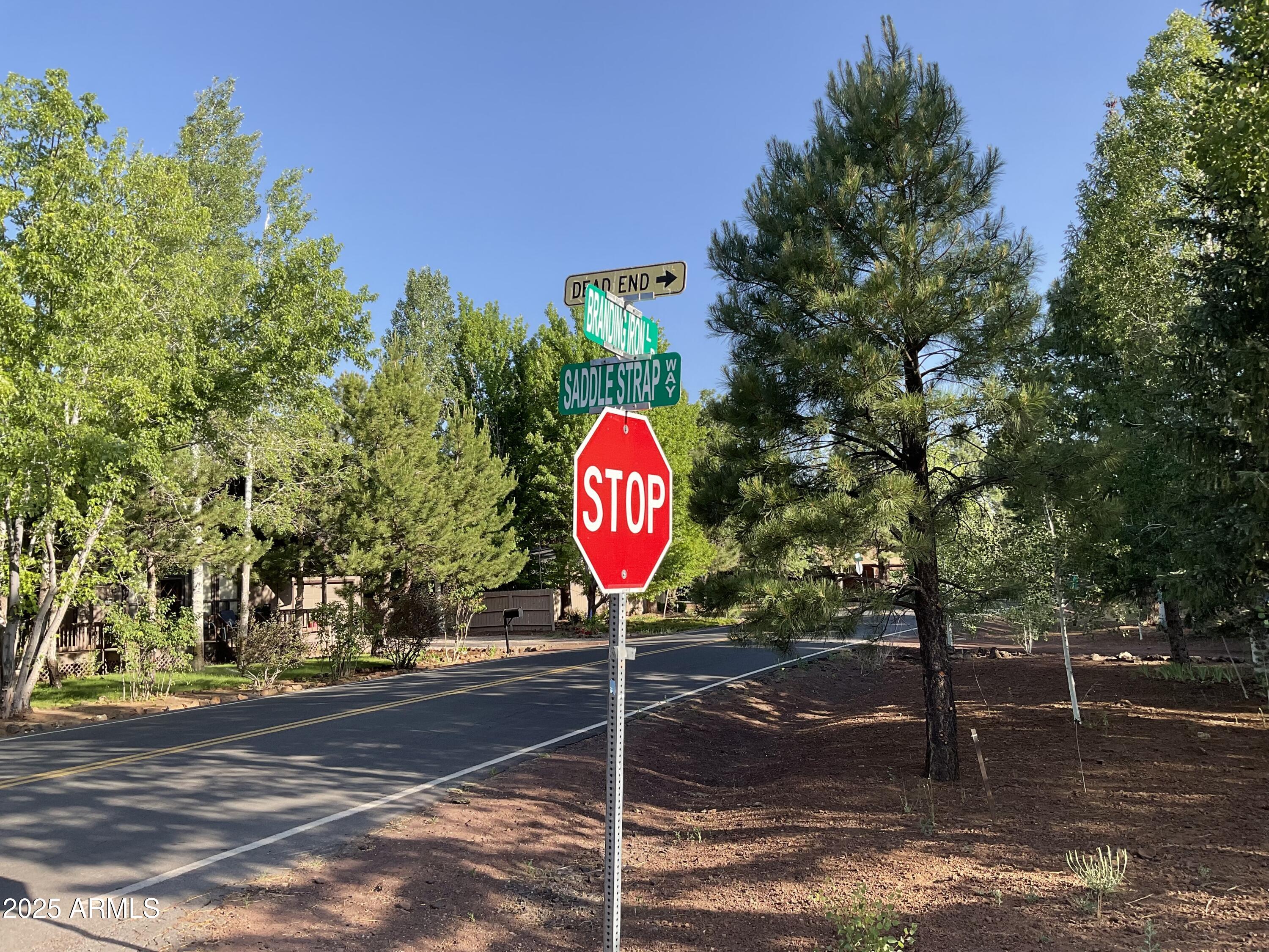 PINETOP LAKES EQUESTRIAN UNIT 1 - Land