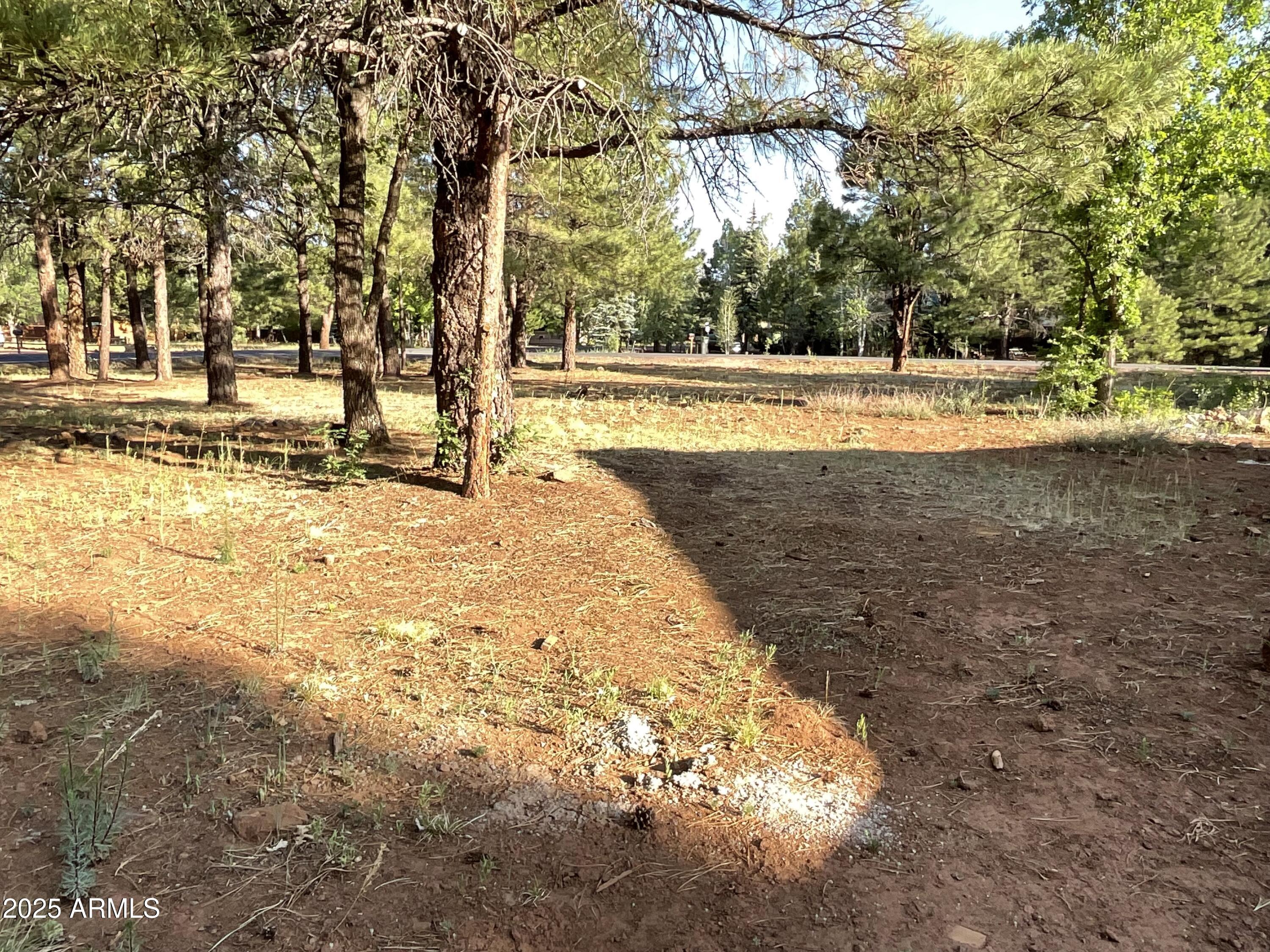 PINETOP LAKES EQUESTRIAN UNIT 1 - Land
