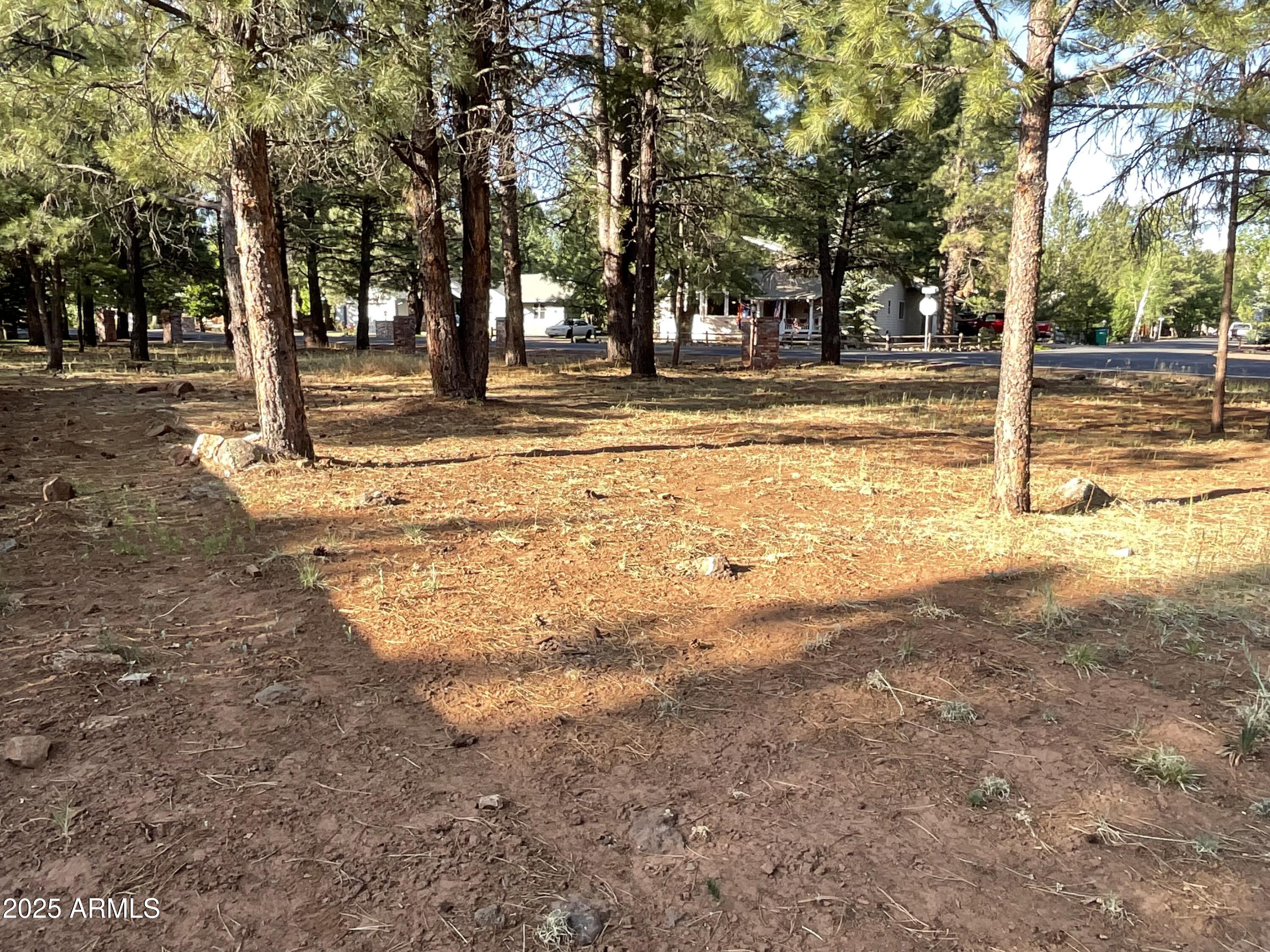 PINETOP LAKES EQUESTRIAN UNIT 1 - Land