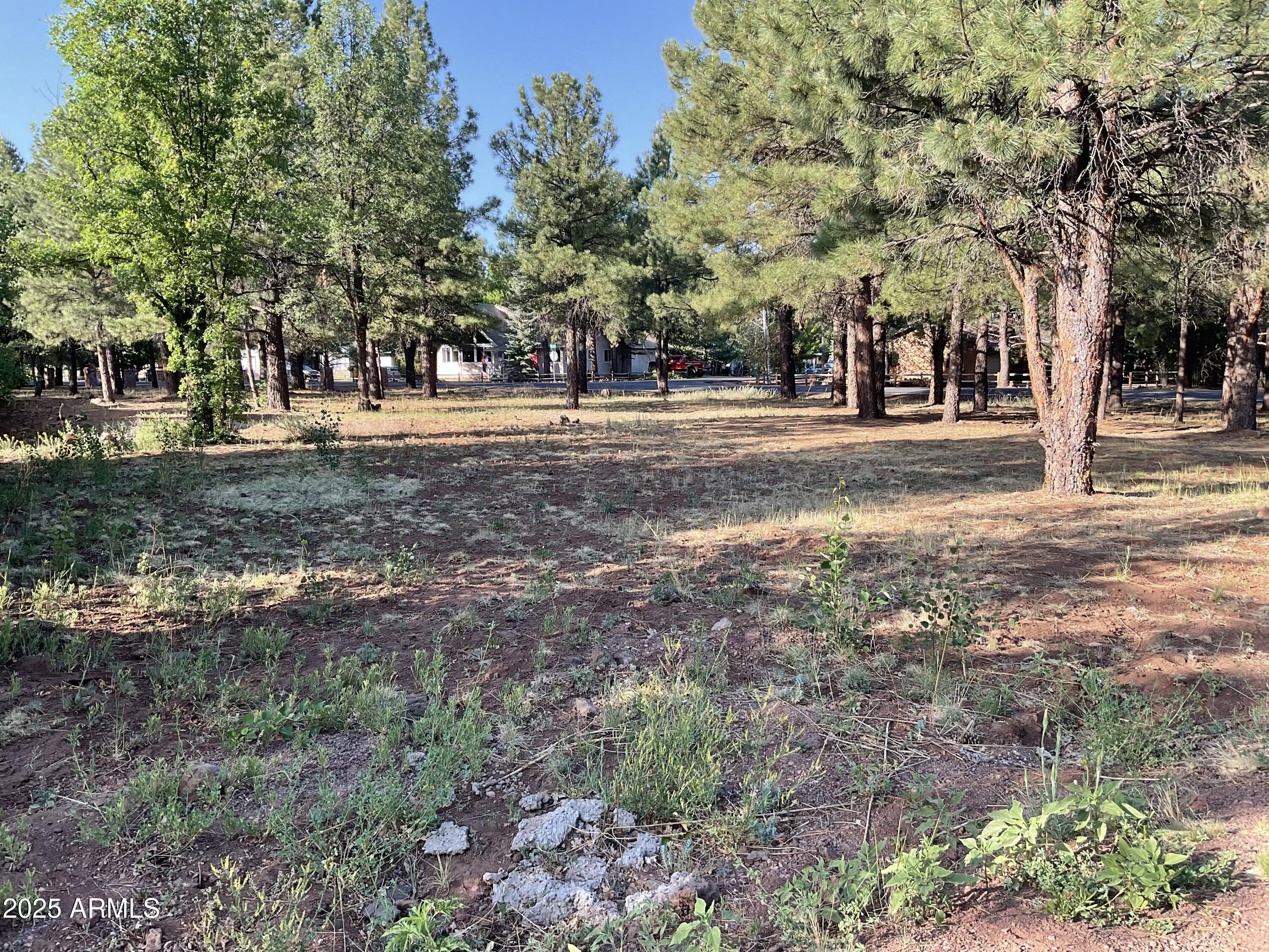 PINETOP LAKES EQUESTRIAN UNIT 1 - Land
