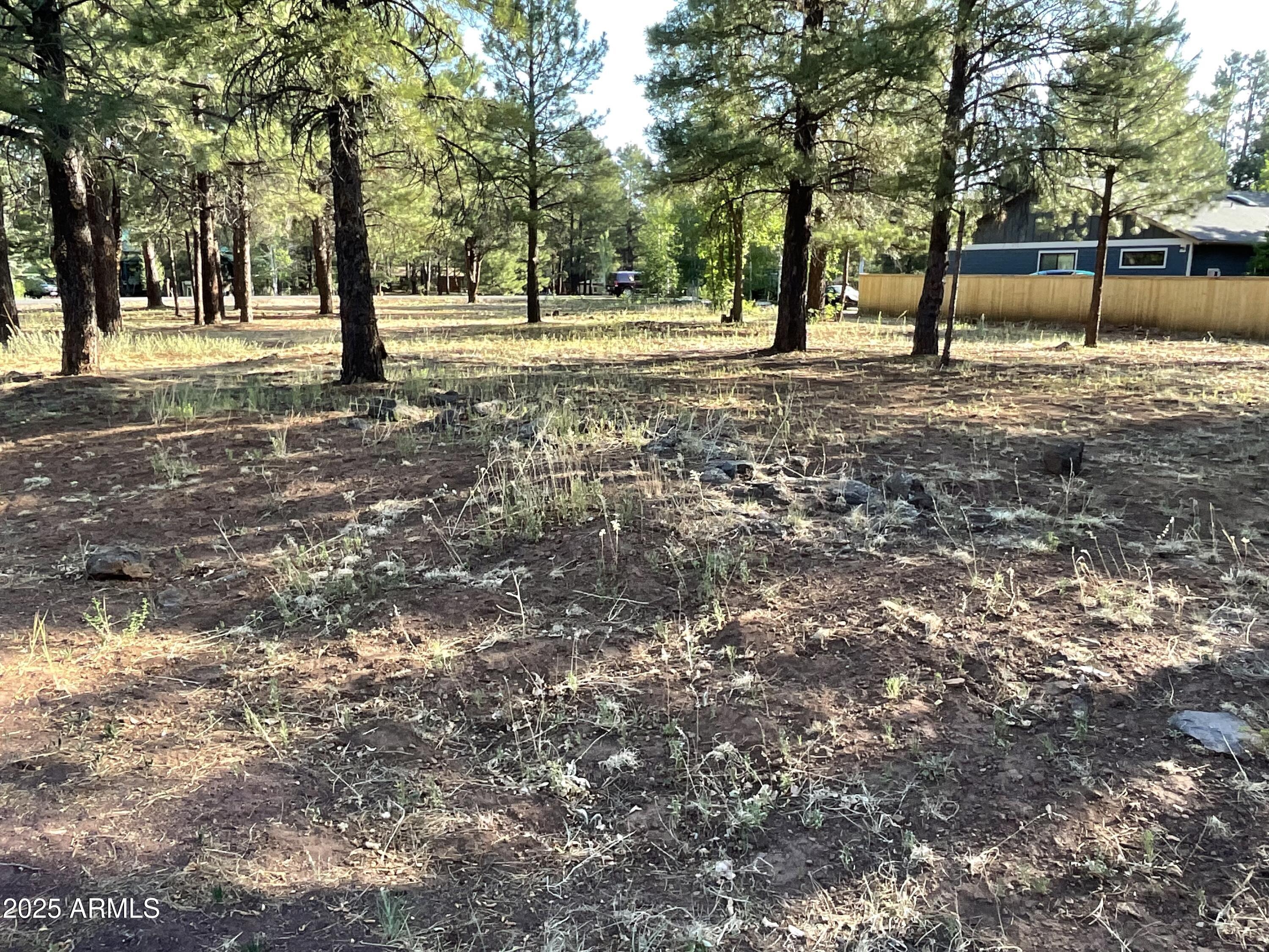 ''A Rare Opportunity in Pinetop Lakes Equestrian!'' This is currently the only horse property available in the sought-after Pinetop Lakes Equestrian subdivision. Situated on a level corner lot just over half an acre, this parcel offers endless potential for your dream equestrian retreat or custom mountain home. Don't miss your chance to own in one of the area's most desirable communities!