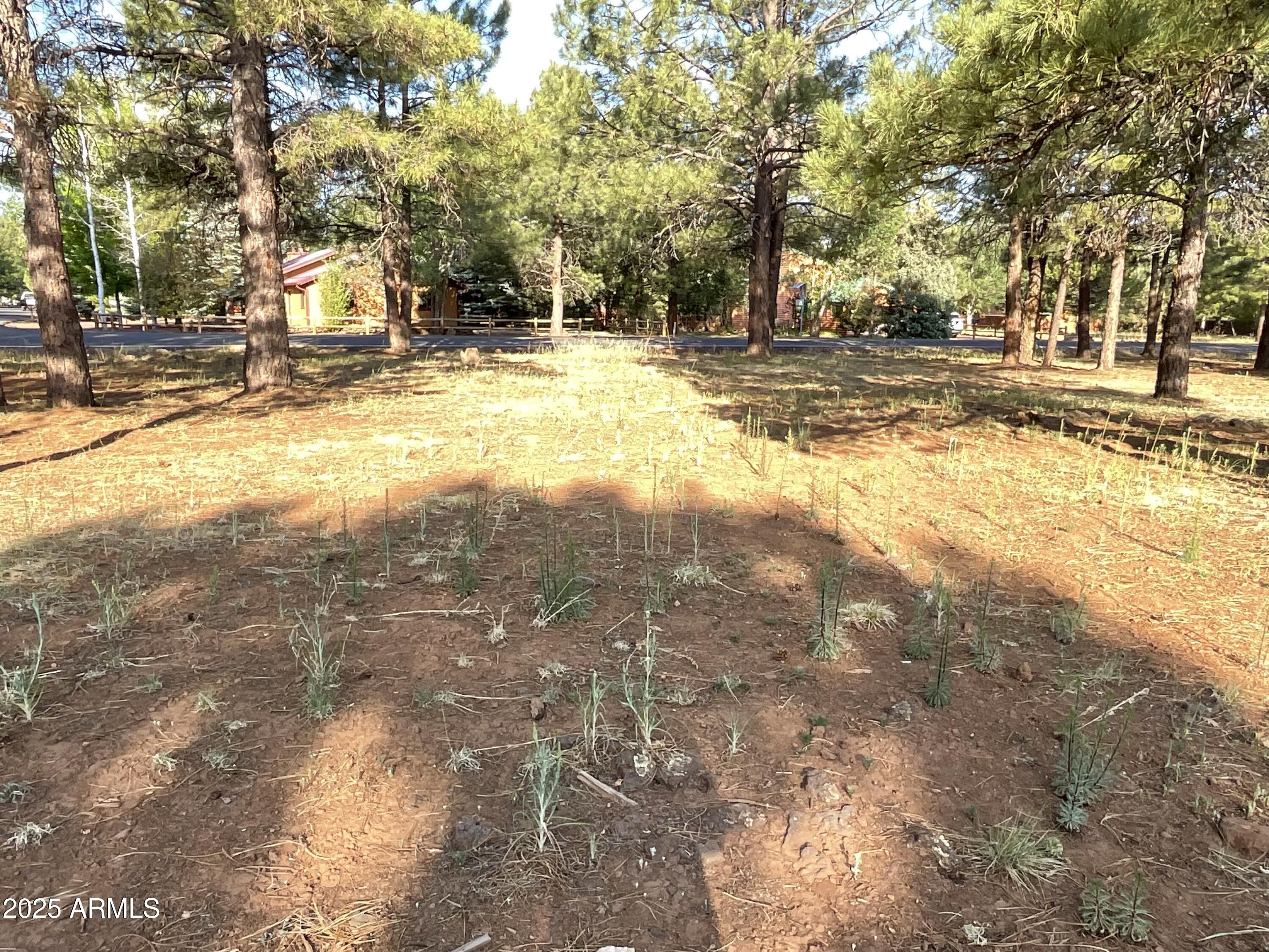 PINETOP LAKES EQUESTRIAN UNIT 1 - Land