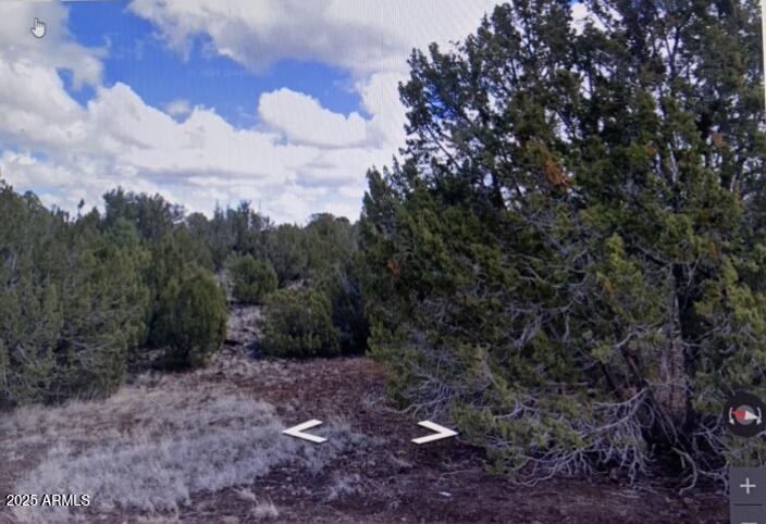Don't miss out on this beautiful White Mountain Lakes community.