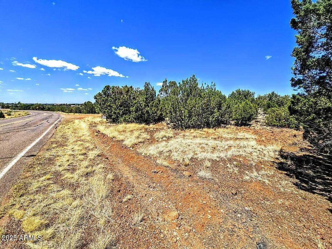 WHITE MOUNTAIN LAKE ESTATES - Land