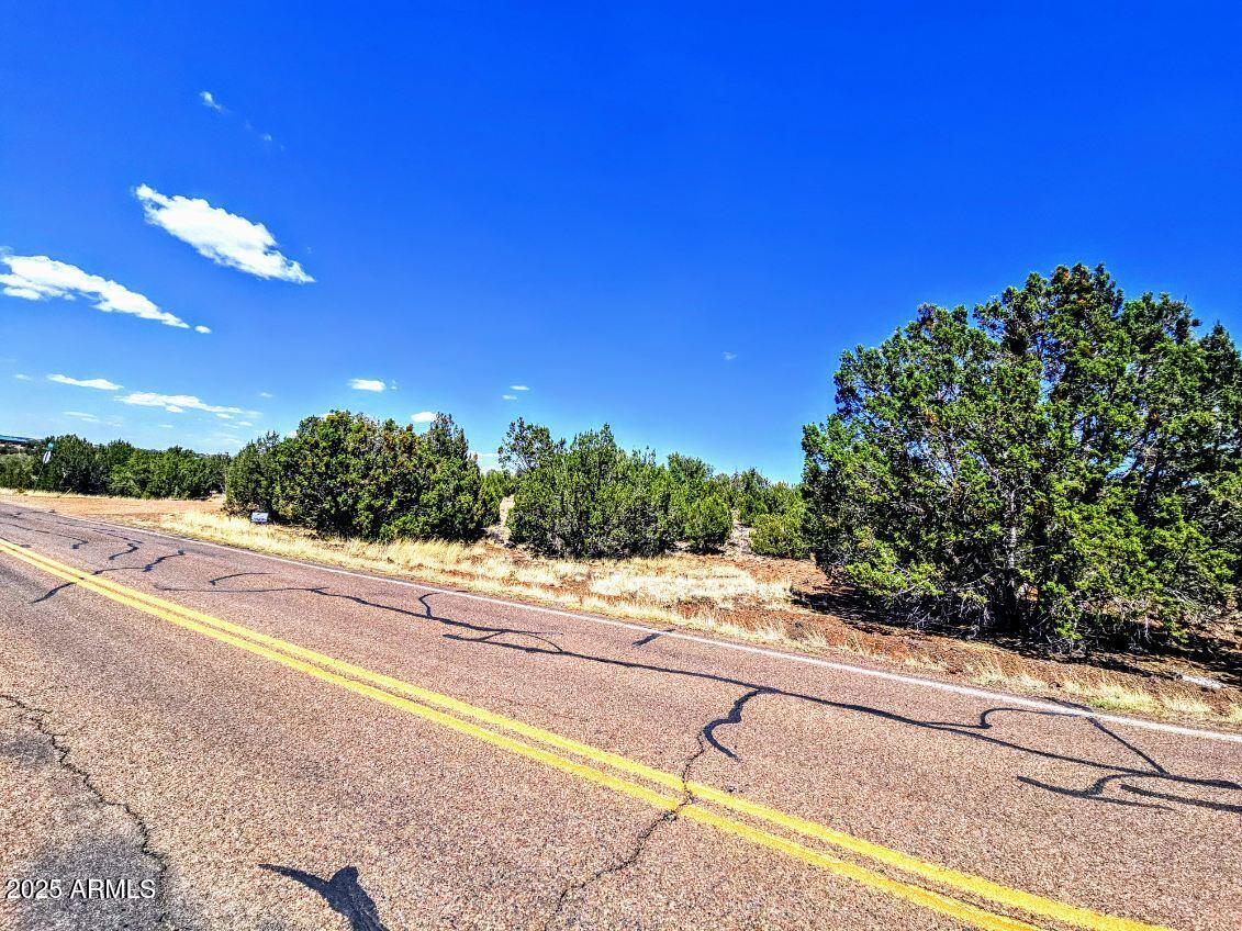 WHITE MOUNTAIN LAKE ESTATES - Land