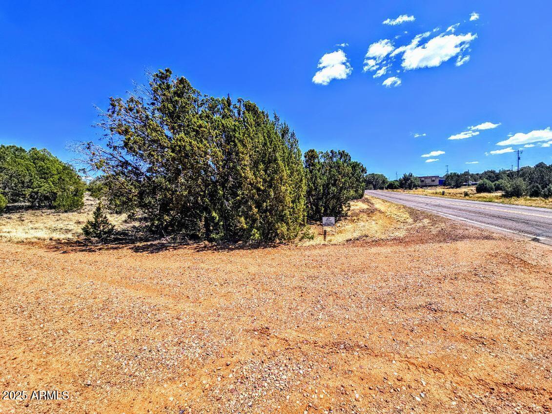WHITE MOUNTAIN LAKE ESTATES - Land