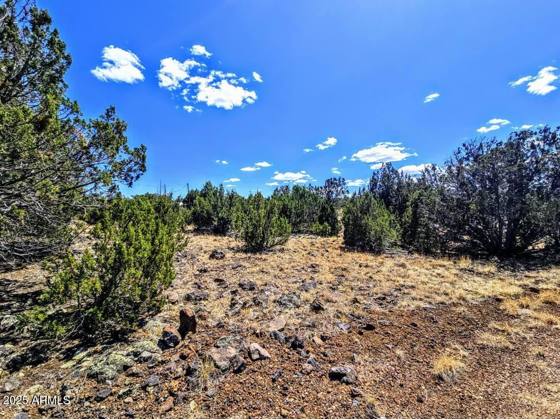 WHITE MOUNTAIN LAKE ESTATES - Land