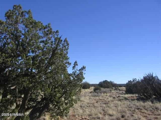 Chevelon Canyon Ranch - Land