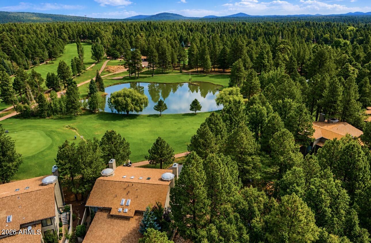 Location, Location, Location! This beautiful townhome offers spectacular fairway and lake views in an unbeatable setting. A tranquil stream runs alongside the property, while beautifully maintained common areas enhance the serene atmosphere.

Enjoy outdoor living on the spacious wraparound Trex® deck, complete with stairs leading down to the stream and direct access to the golf course. Inside, the bright and airy great room features soaring vaulted ceilings and expansive windows that showcase the stunning views and fill the home with natural light. The thoughtfully designed floor plan includes two primary suites, providing comfort and privacy for family and guests alike. Upstairs, a spacious loft overlooks the great room, creating the perfect space for a home office, media room, or additional sleeping accommodations.
Additional Photos/Video To Come.

Extensively updated over the past three years, this home features:

New ¾-inch distressed oak hardwood flooring throughout the home and stairway.
New white penny tile in all three bathrooms and the laundry room.
Professionally painted kitchen and bathrooms with updated hardware.
New plumbing fixtures and light fixtures throughout.
Stunning new rock fireplace with added electrical for artwork or media display.
Updated kitchen appliances, including a new oven, stove, and dishwasher.
Quartz countertops and designer backsplashes in the kitchen and bathrooms.
New Jacuzzi® tub in the primary bathroom.
Remodeled half bath with a new vanity, mirror, and backsplash.

Combining breathtaking scenery, quality upgrades, and an exceptional location, this move-in-ready townhome is ideal as a full-time residence or your perfect mountain retreat.